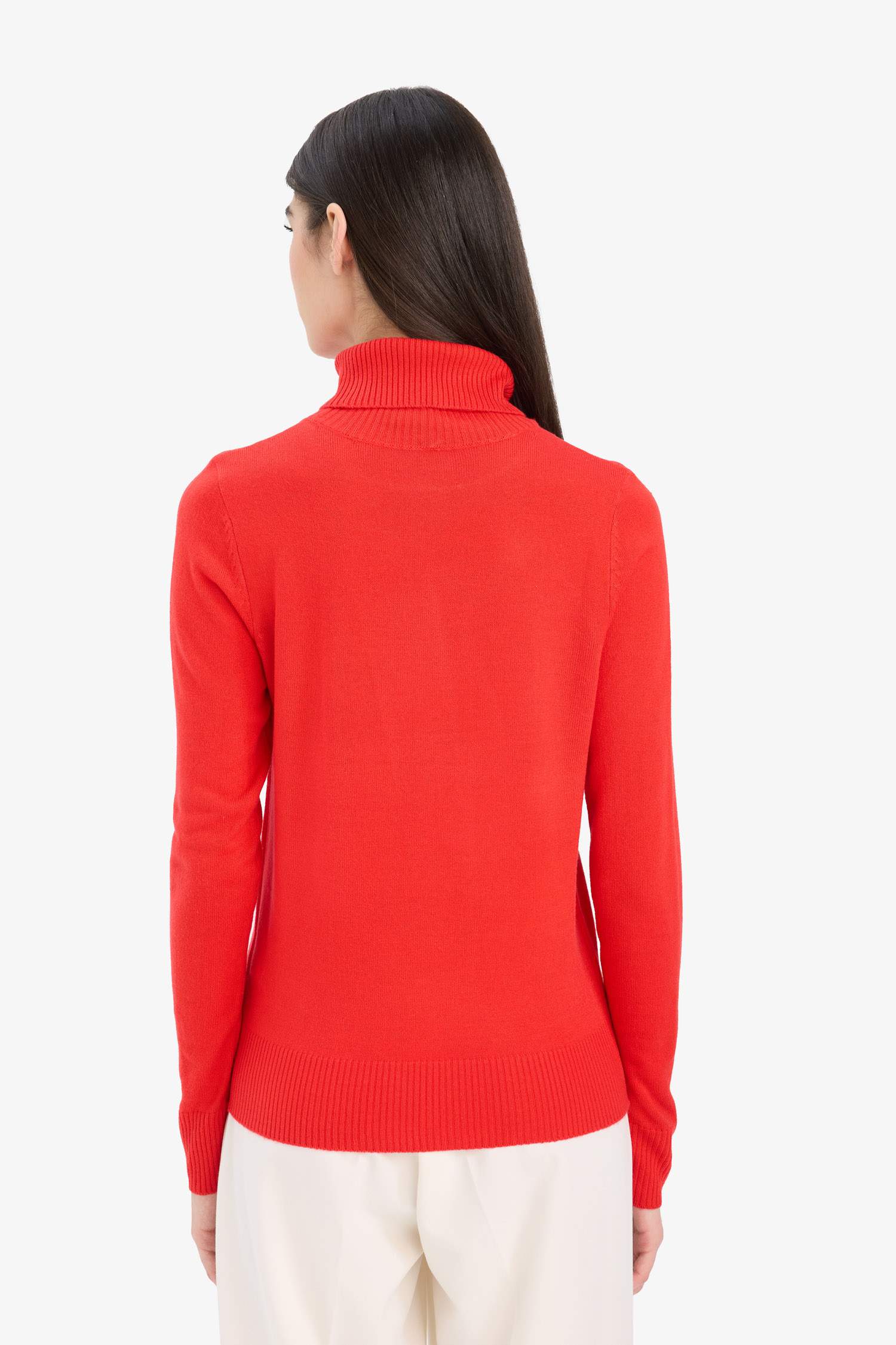 Regular Fit Turtleneck Pullover