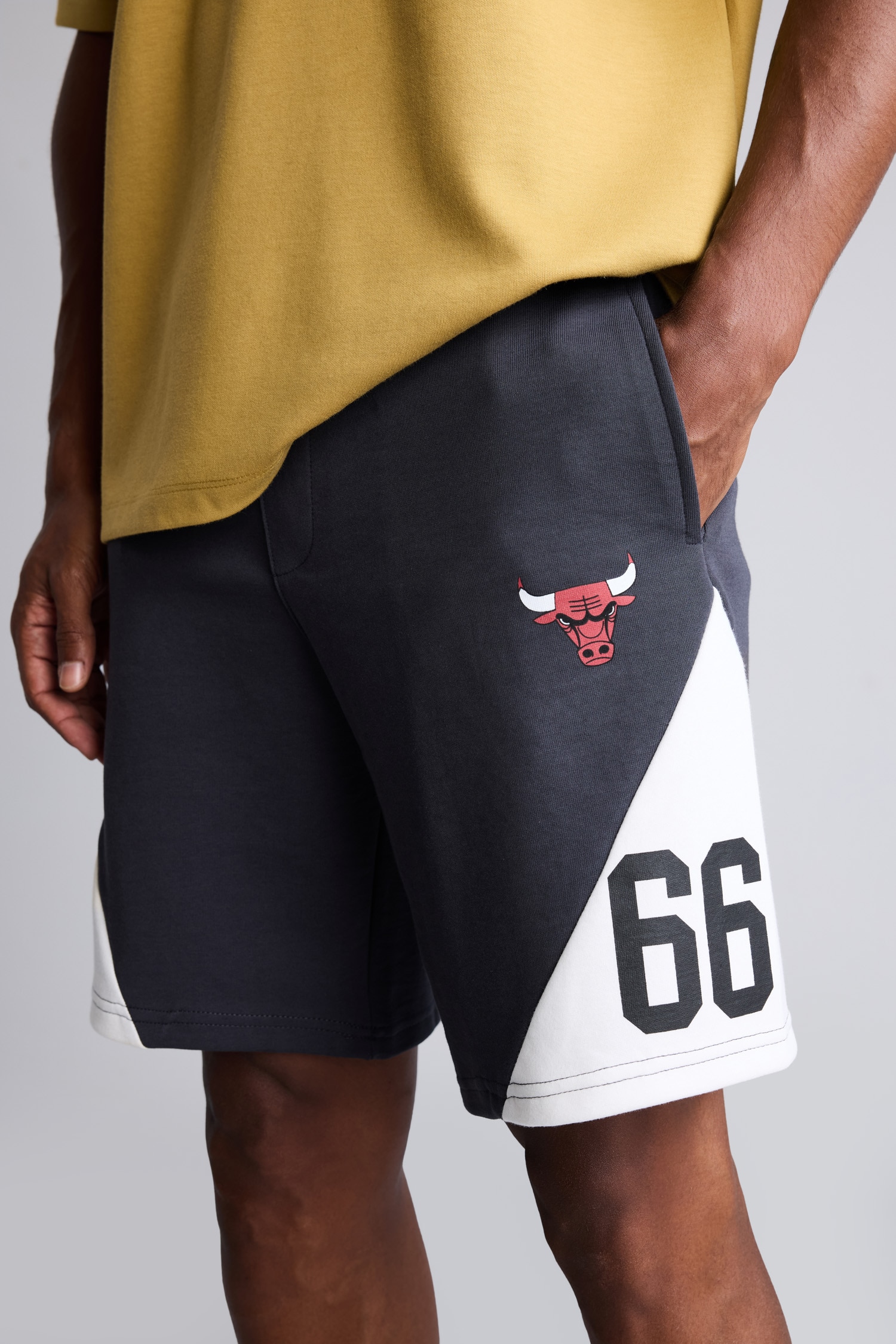 DeFacto NBA Lisanslı Standart Fit Şort görsel 5