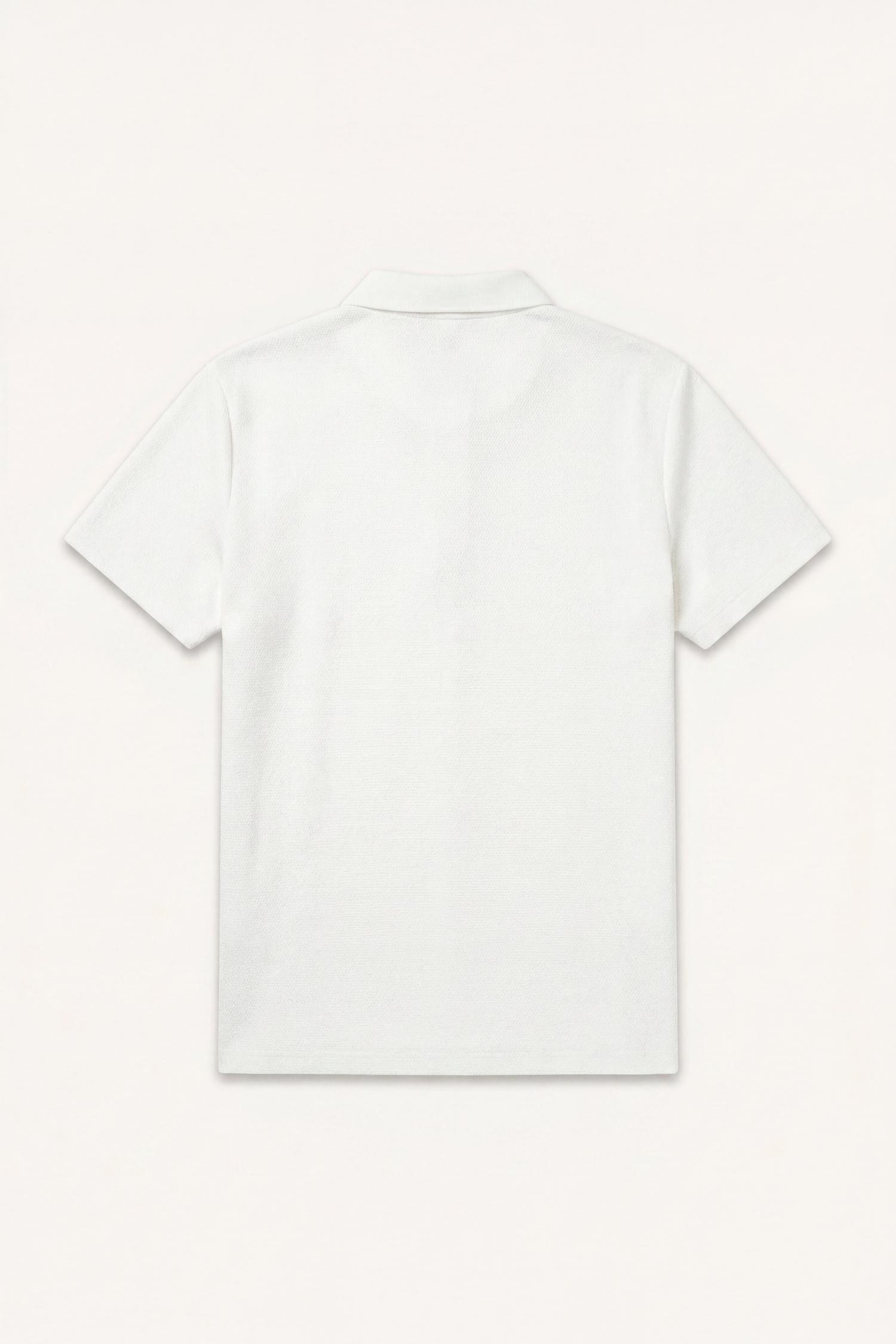 DeFacto Regular Fit Resort Yaka Basic Polo Tişört görsel 8