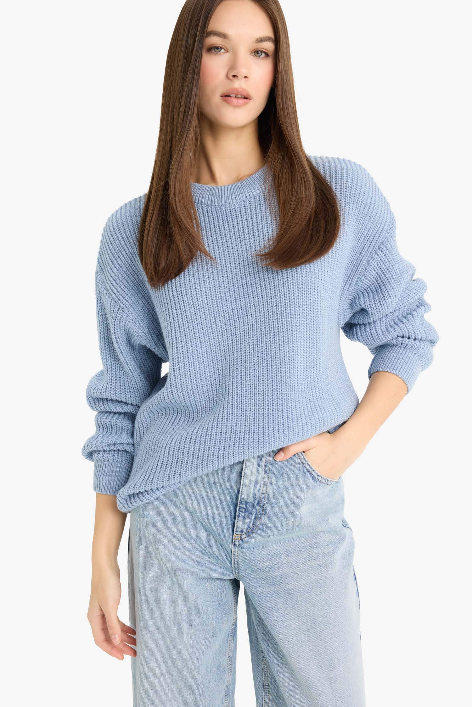 Regular Fit Crew Neck Basic Knit Pullover