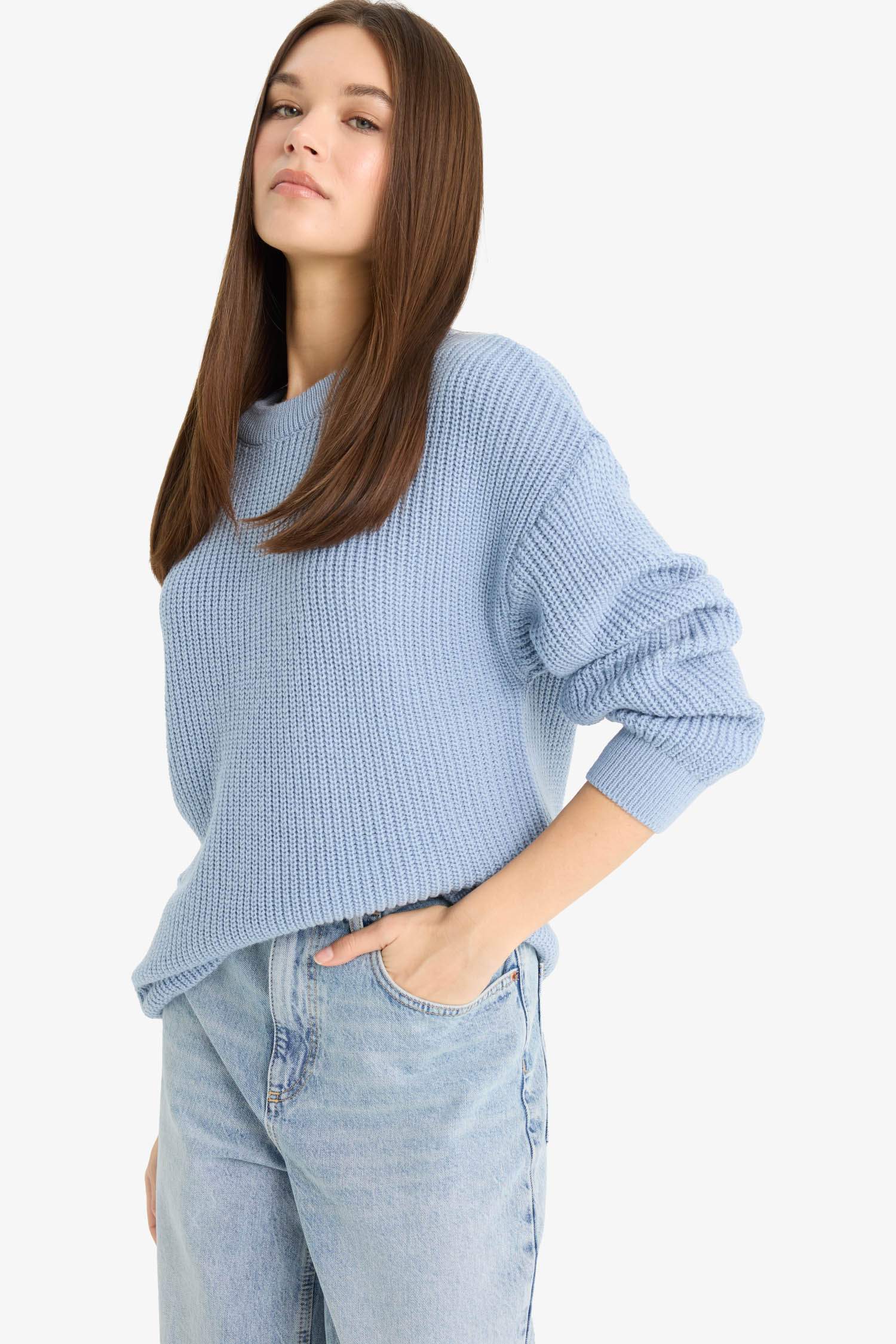 Regular Fit Crew Neck Basic Knit Pullover