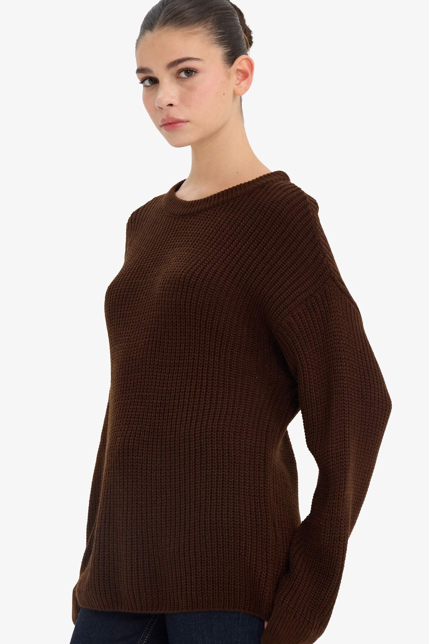 Regular Fit Crew Neck Pullover