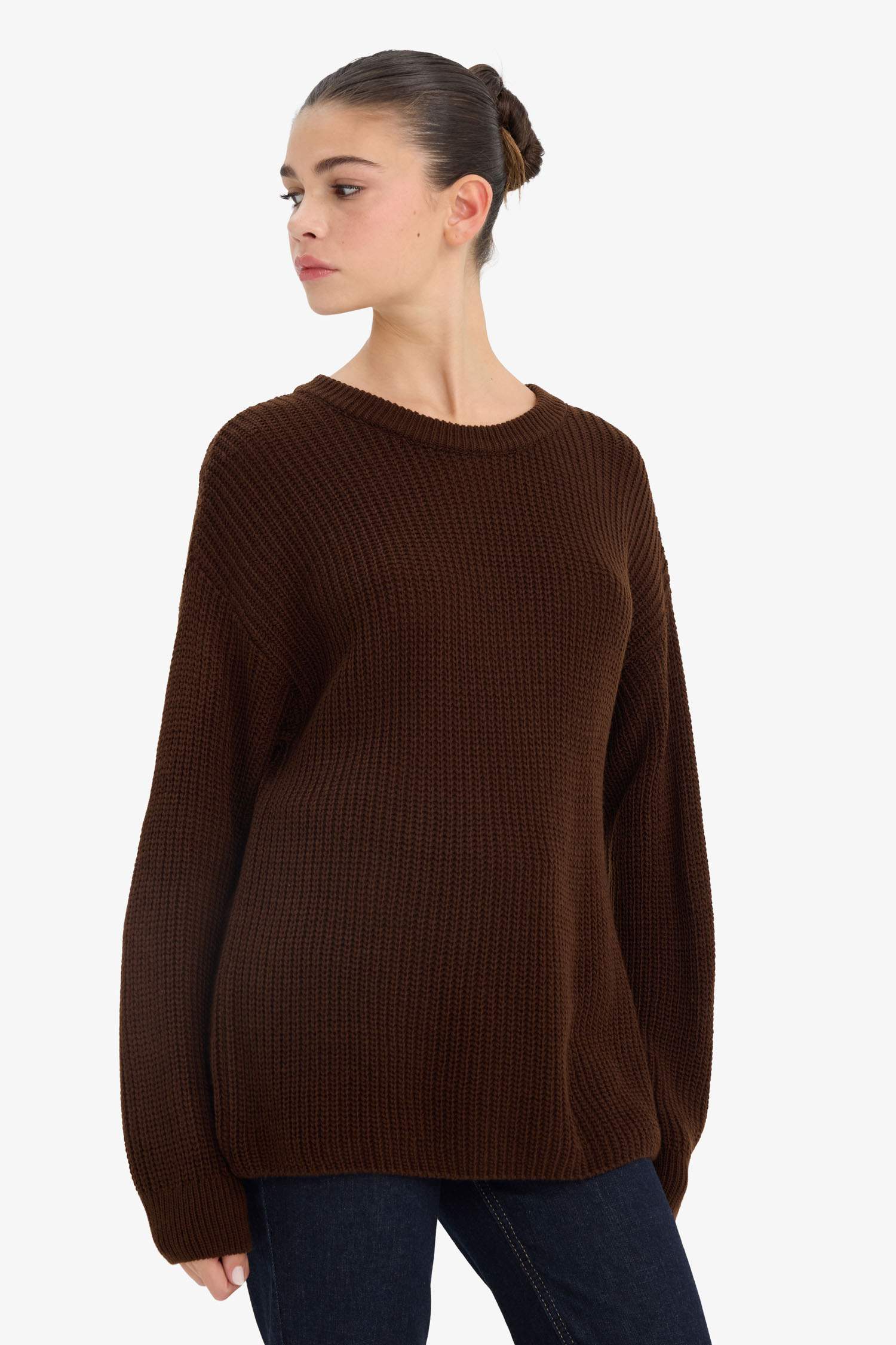 Regular Fit Crew Neck Pullover