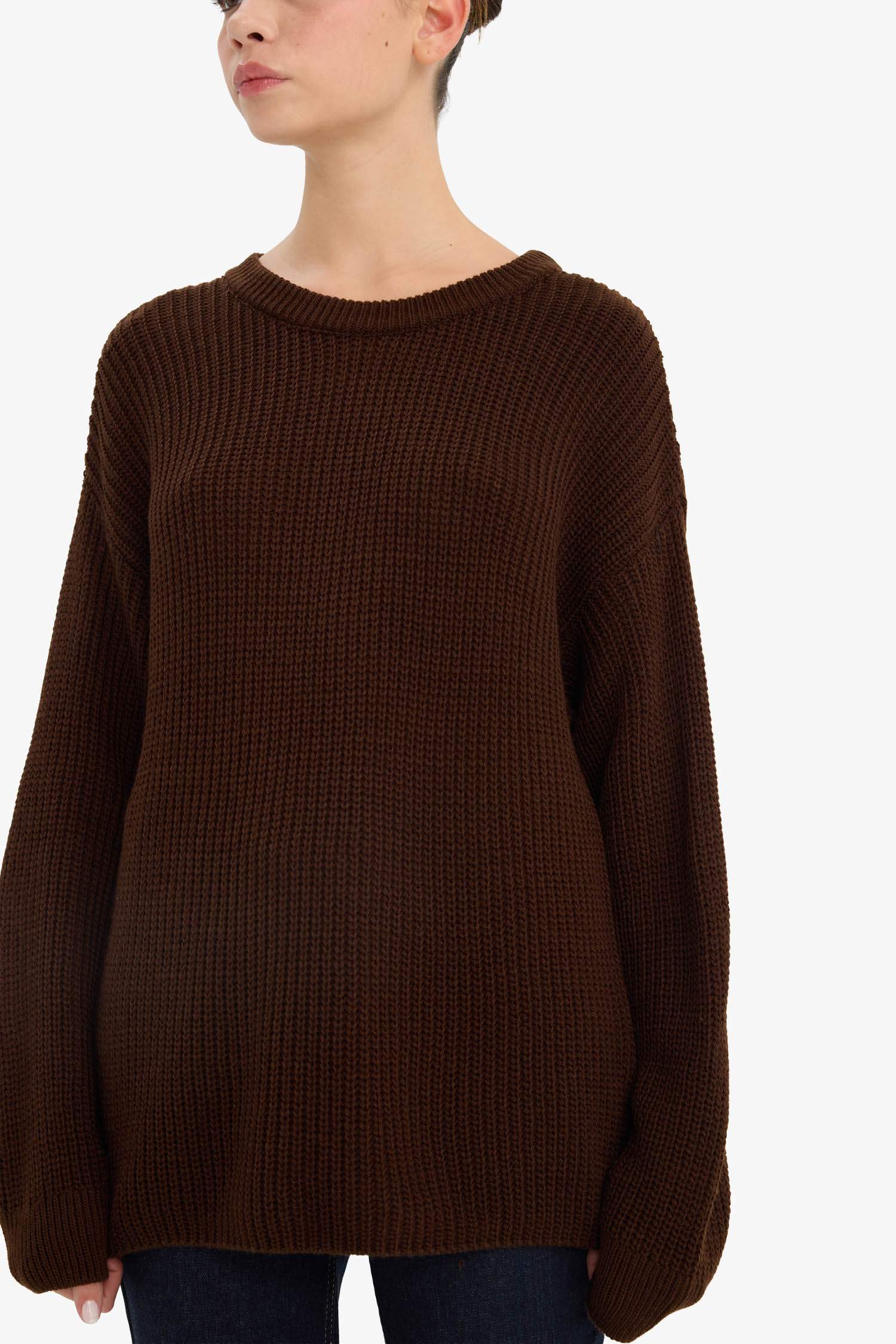 Regular Fit Crew Neck Pullover