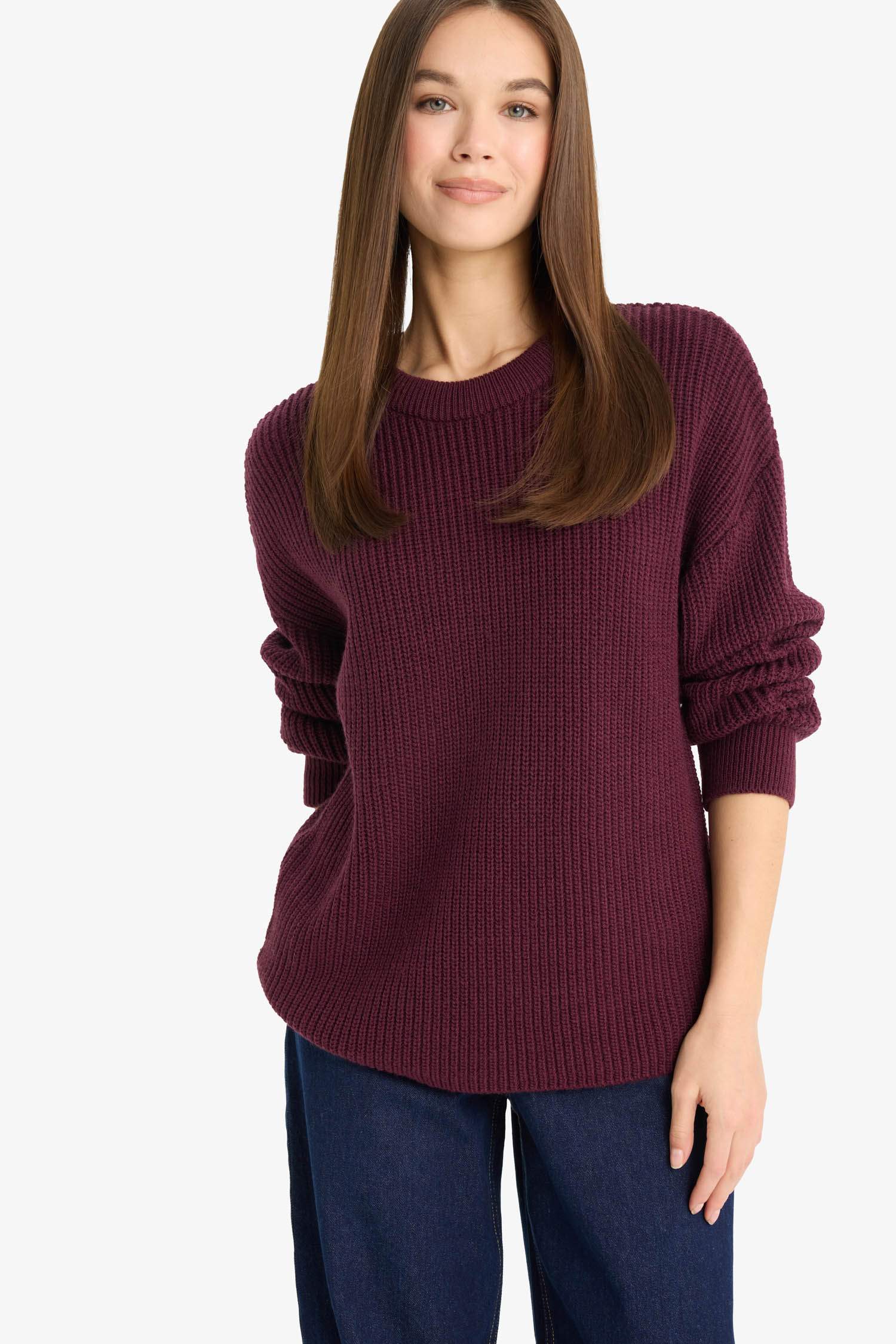 Regular Fit Crew Neck Basic Knit Pullover