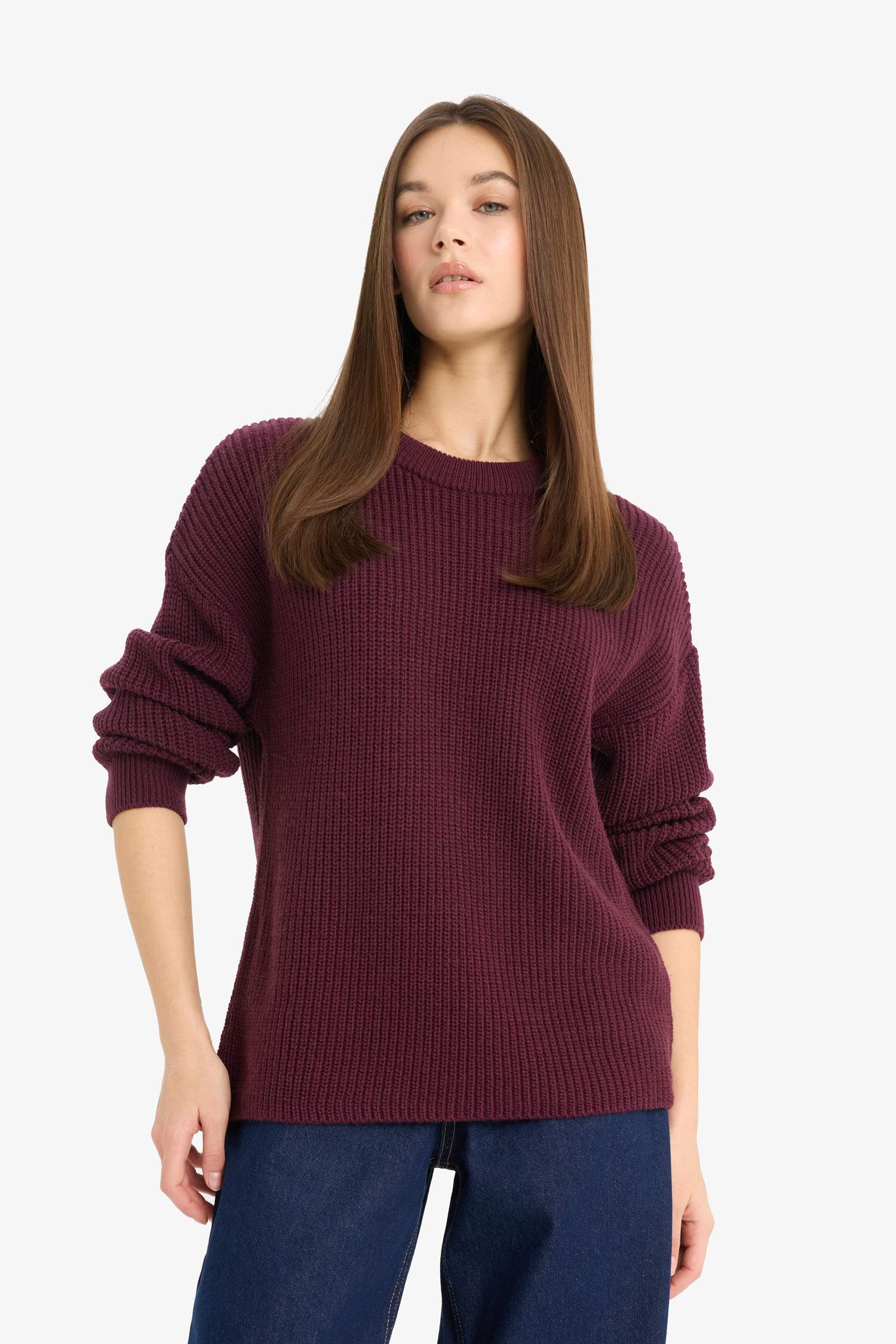 Regular Fit Crew Neck Basic Knit Pullover
