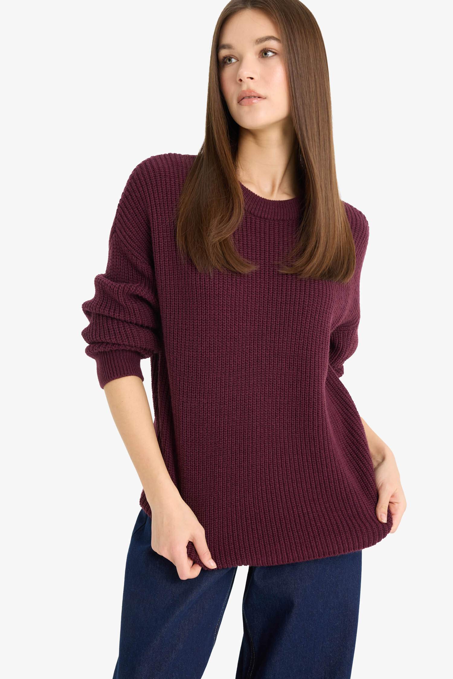 Regular Fit Crew Neck Basic Knit Pullover