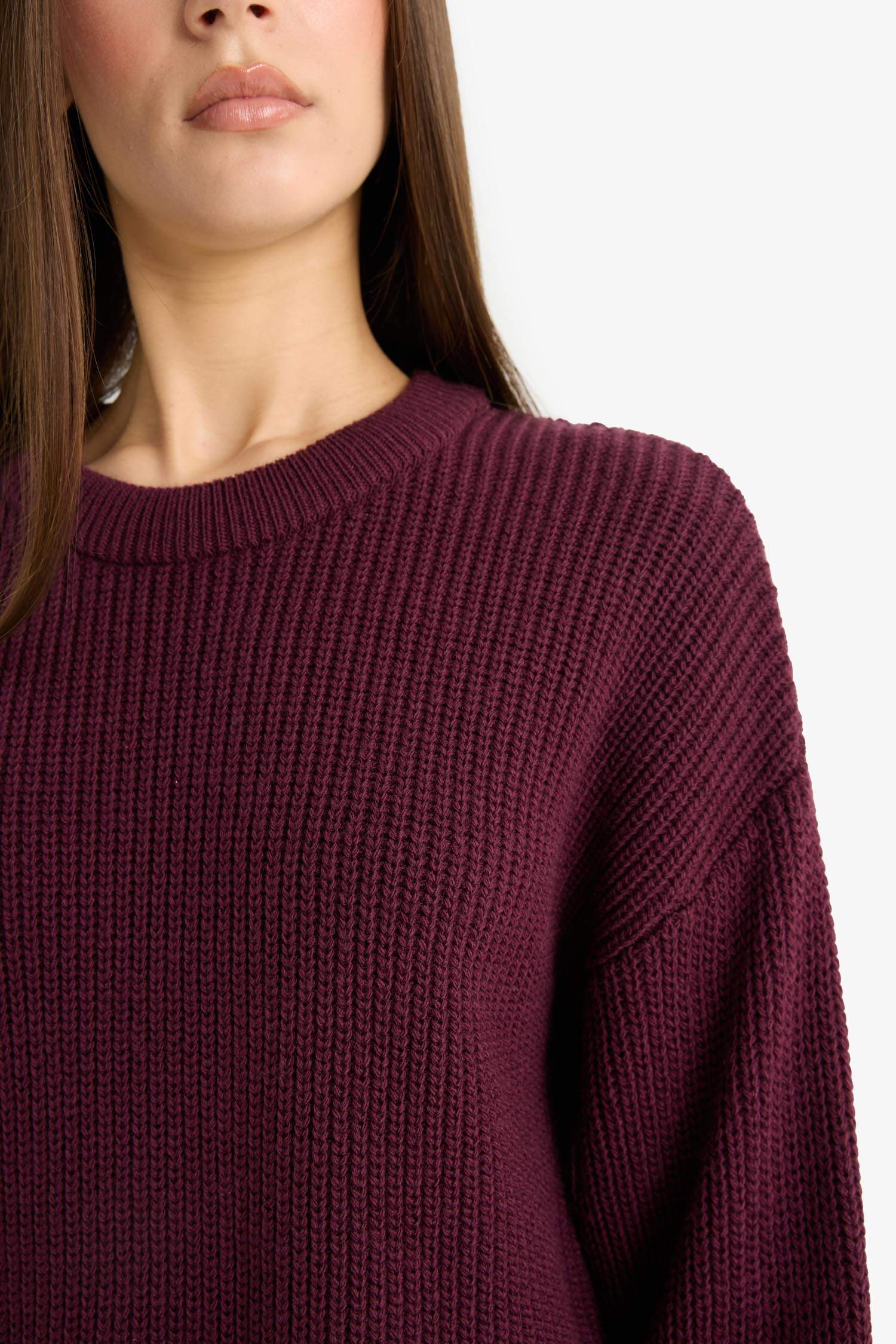 Regular Fit Crew Neck Basic Knit Pullover