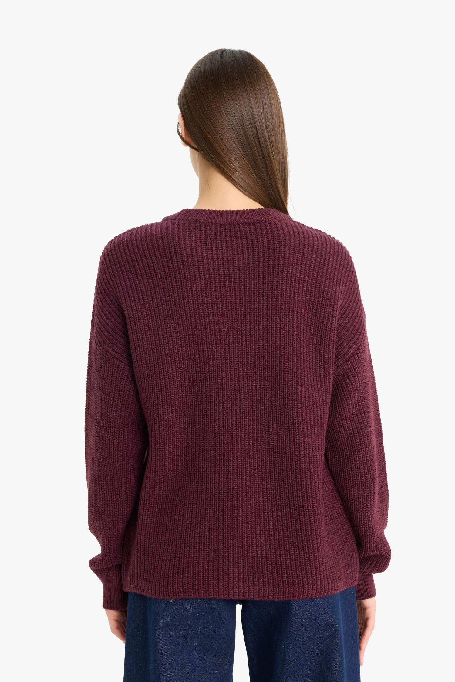 Regular Fit Crew Neck Basic Knit Pullover