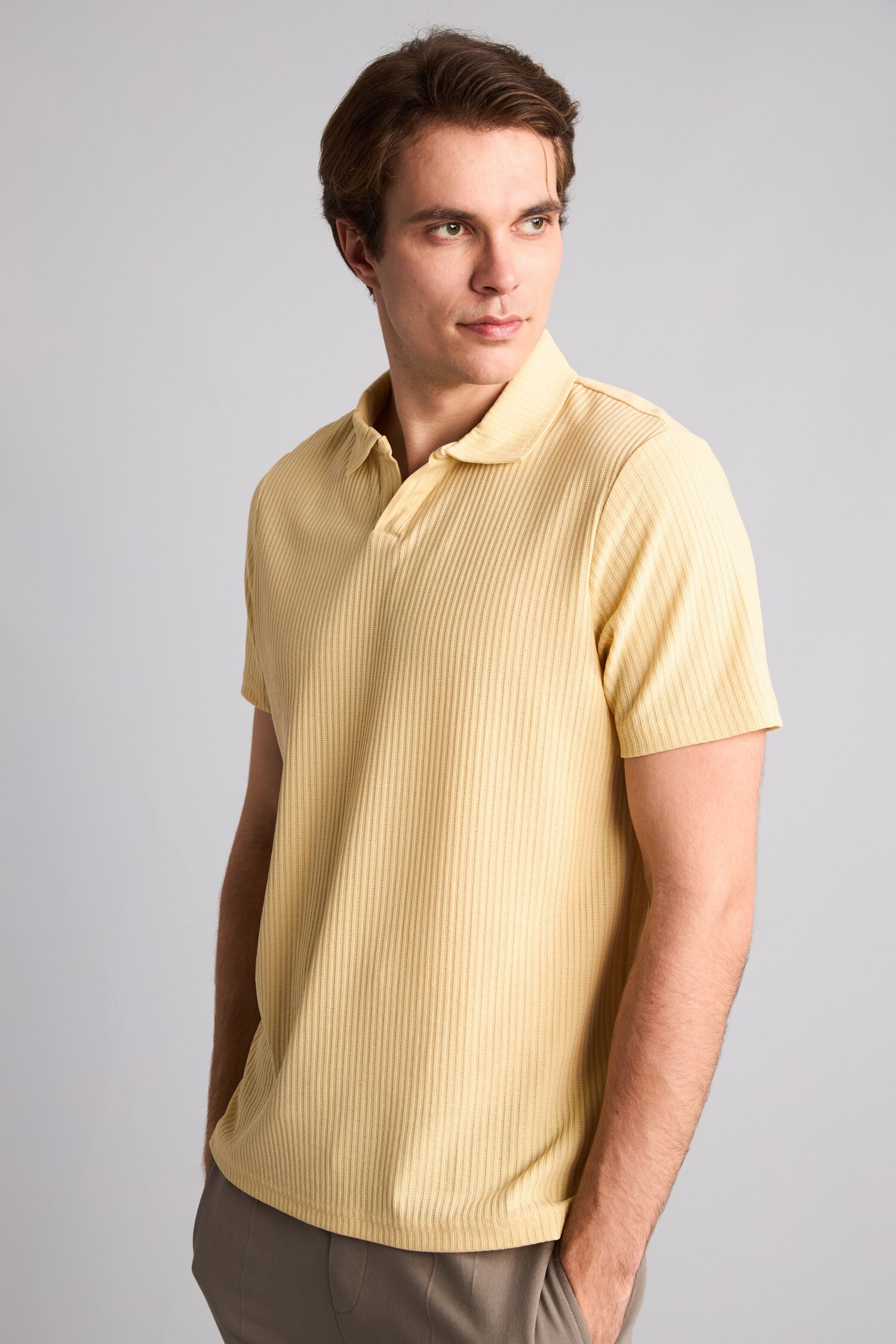 DeFacto Regular Fit Polo Tişört görsel 3