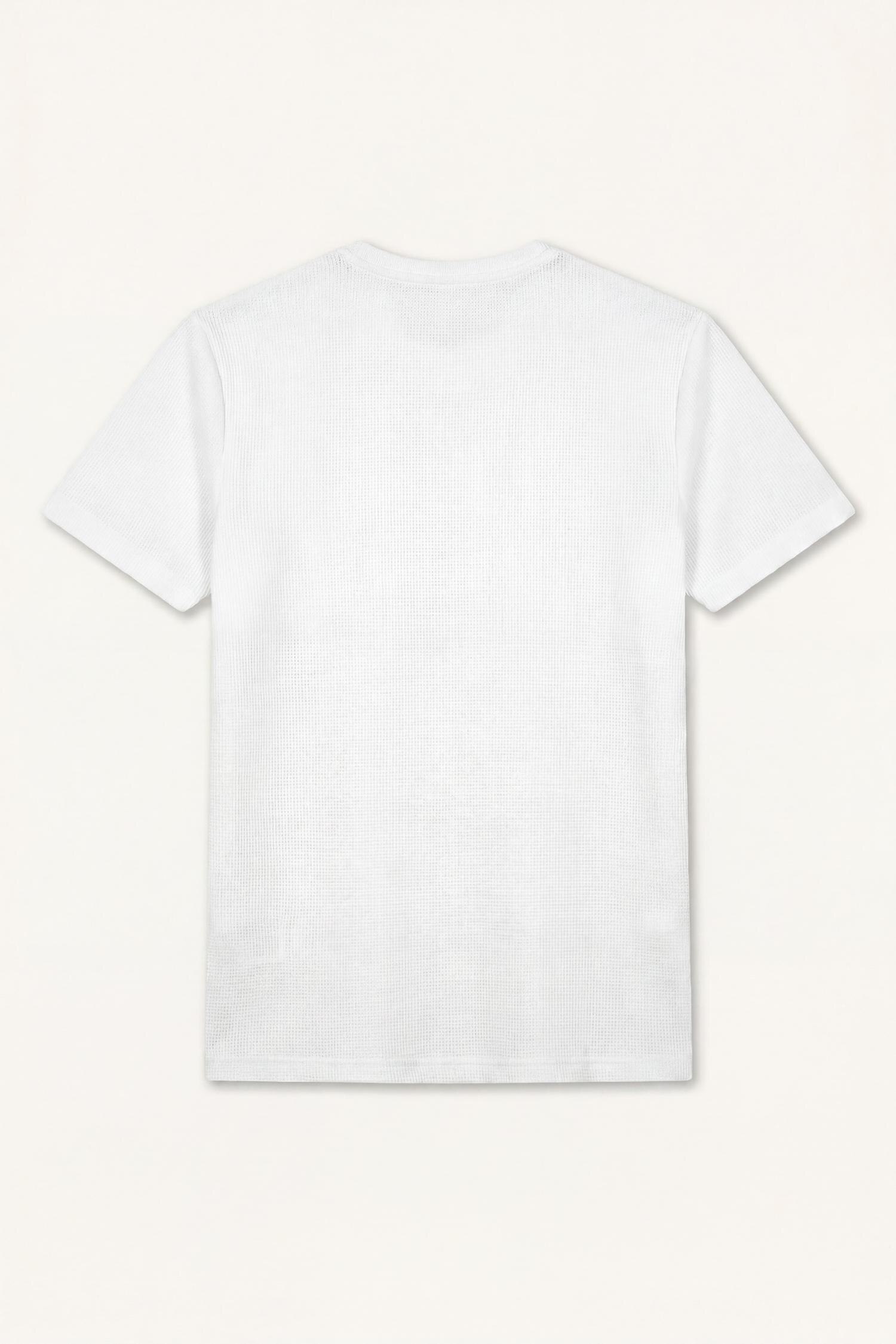 DeFacto Slım Fıt Waffle Henley Yaka Tişört görsel 4