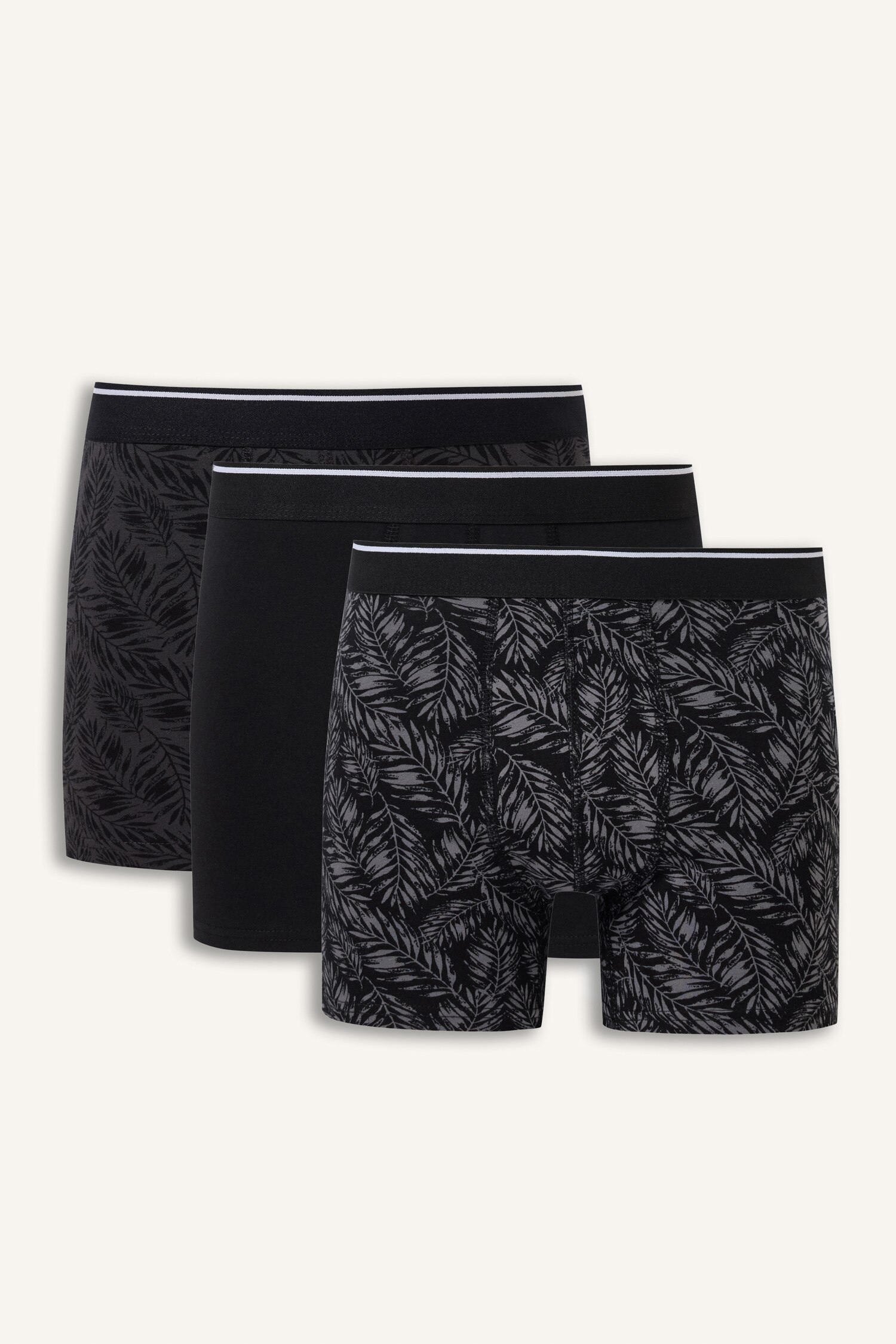 DeFacto Regular Fit Yaprak Desenli 3'lü Boxer