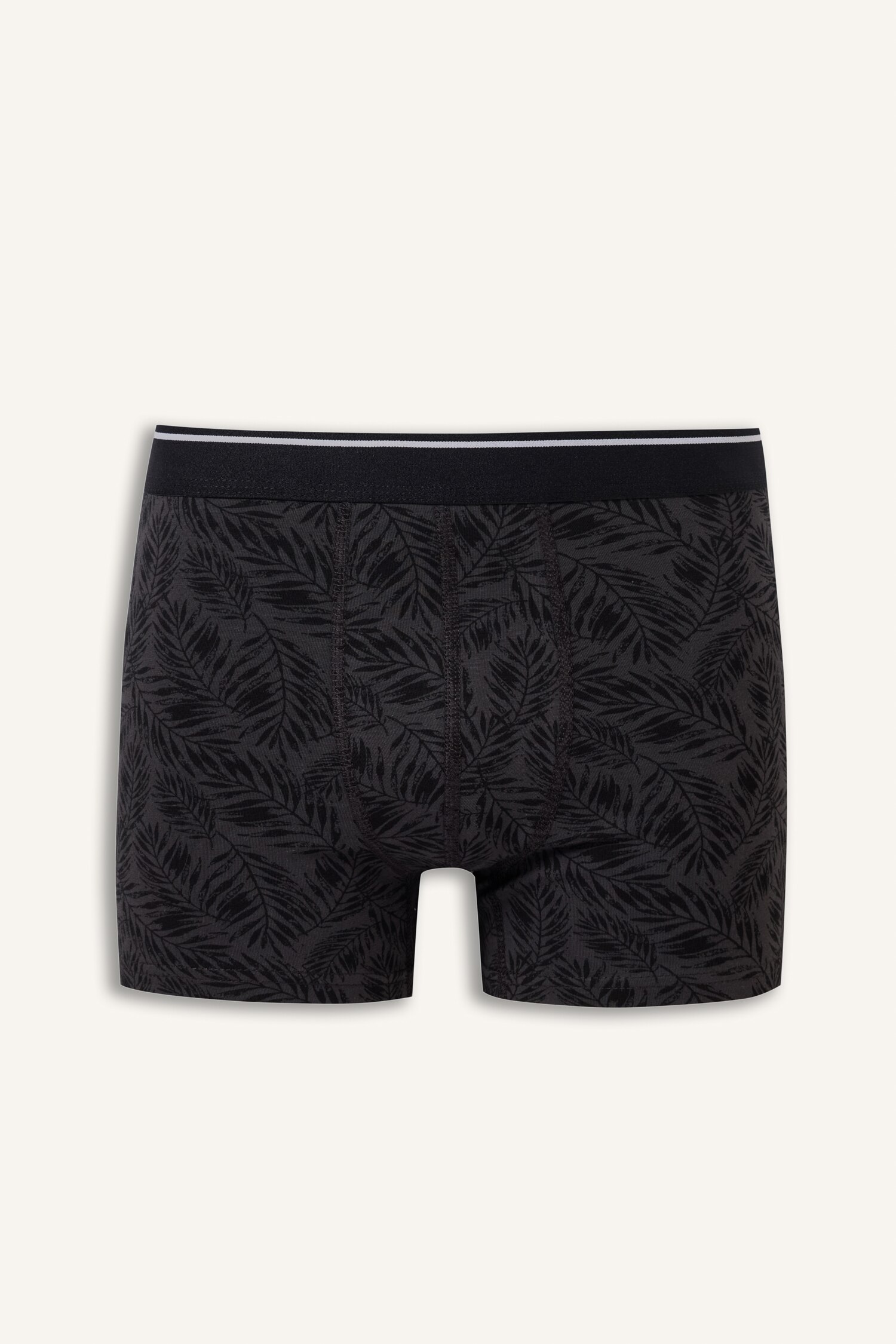 DeFacto Regular Fit Yaprak Desenli 3'lü Boxer görsel 5