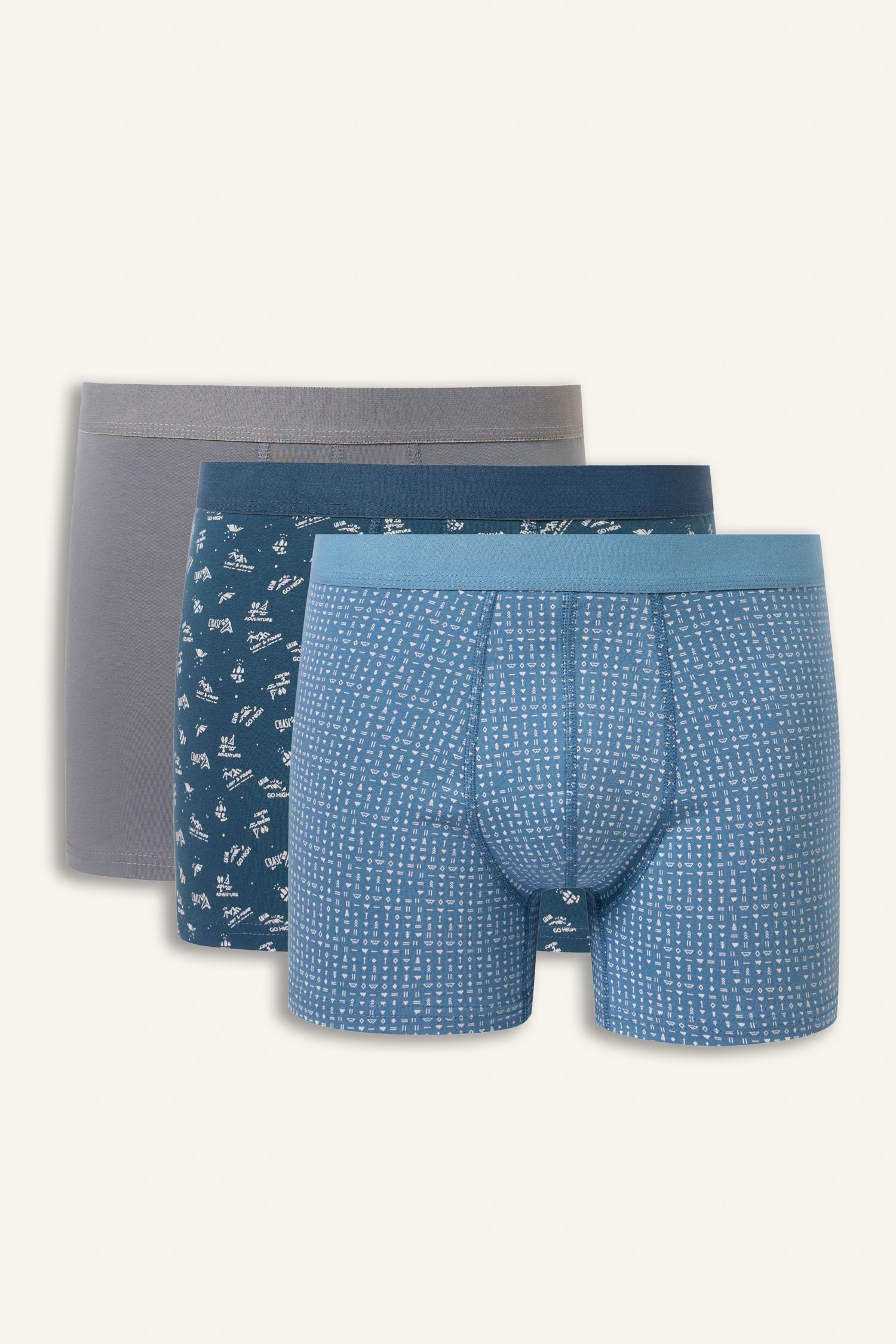 DeFacto Regular Fit Desenli Beli Lastikli 3'lü Boxer
