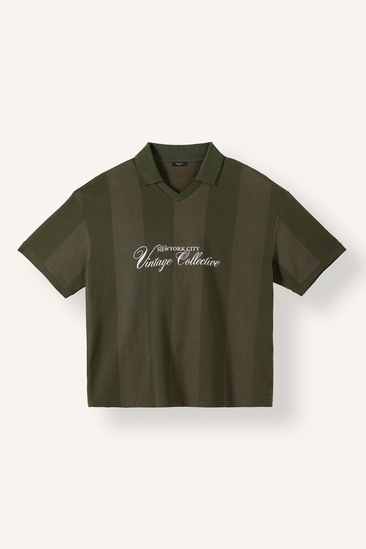 DeFacto Boxy Fit Polo Yaka Çizgili Tişört görsel 5