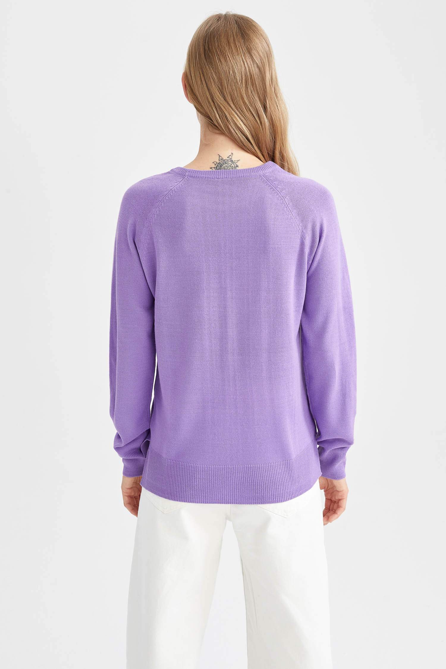 релакс пішімі дөңгелек жаға Пулловер