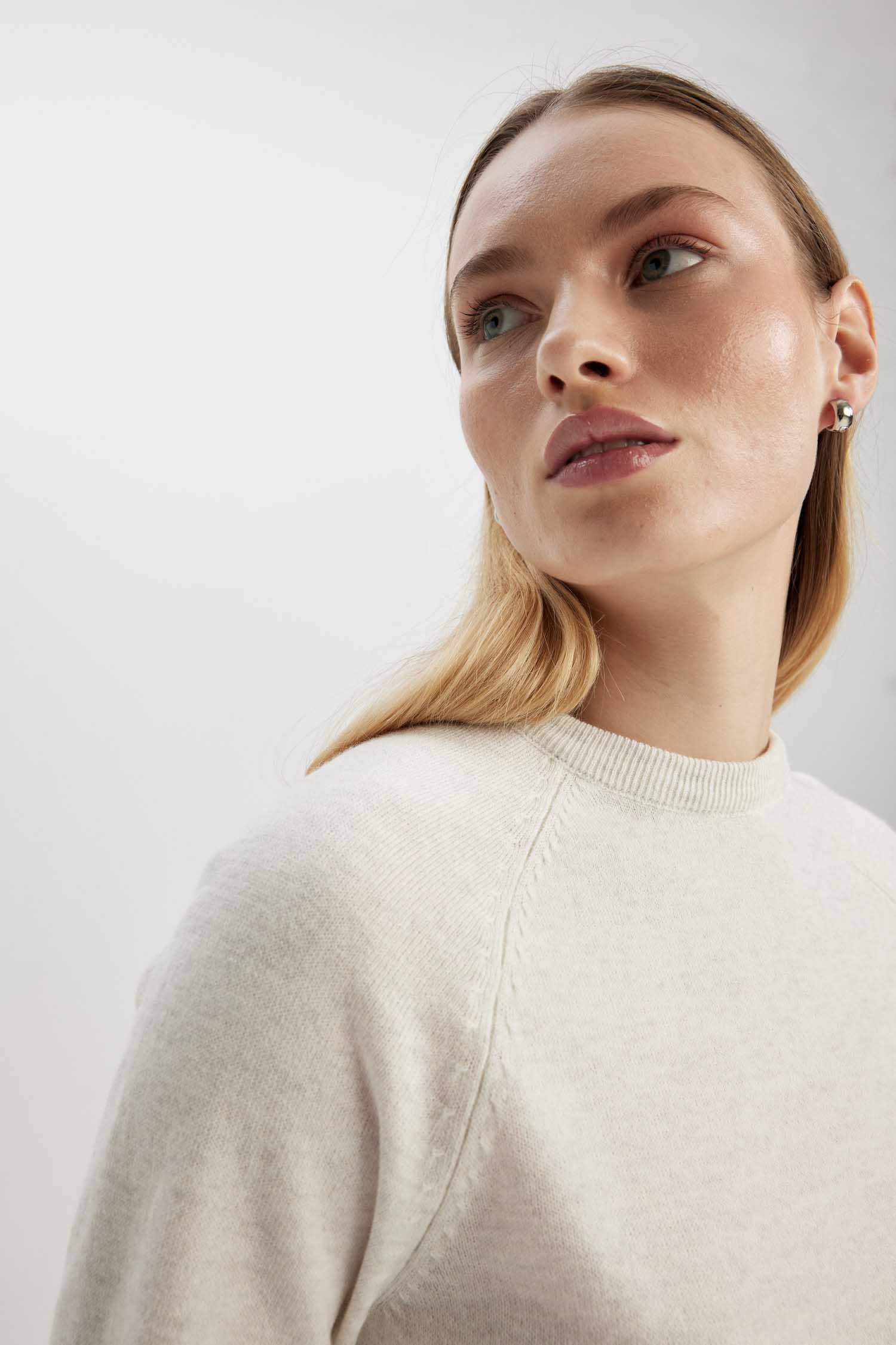 Regular Fit Crew Neck Pullover