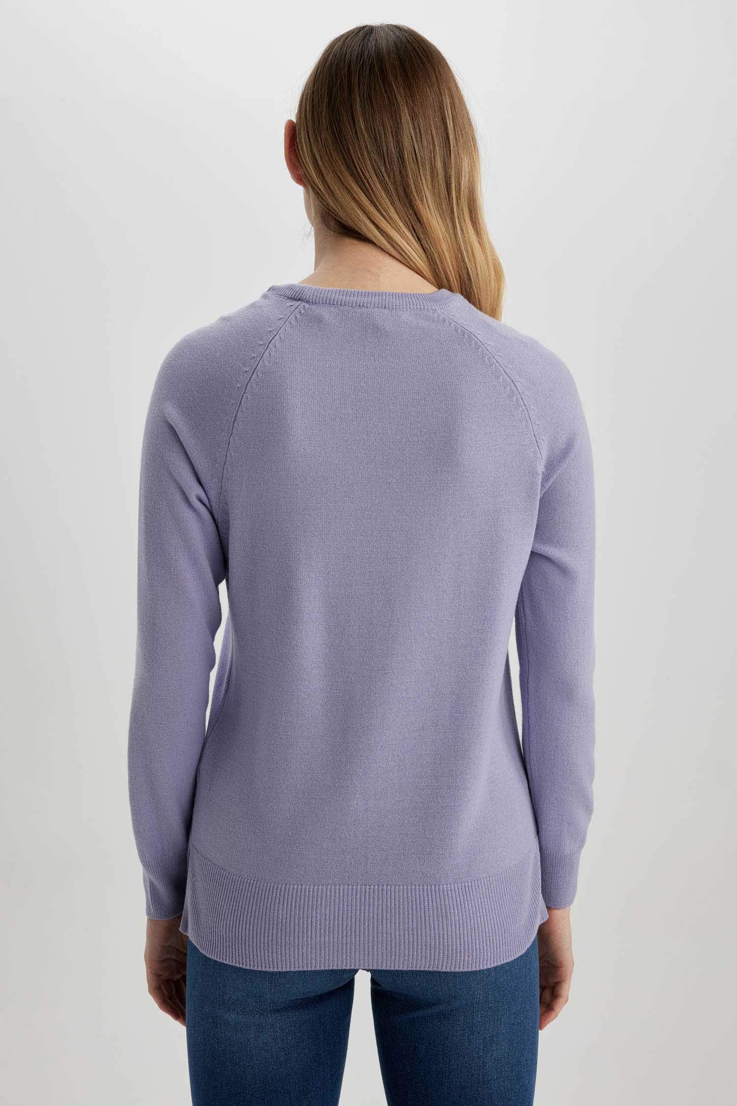 қалыпты пішім дөңгелек жаға Пулловер