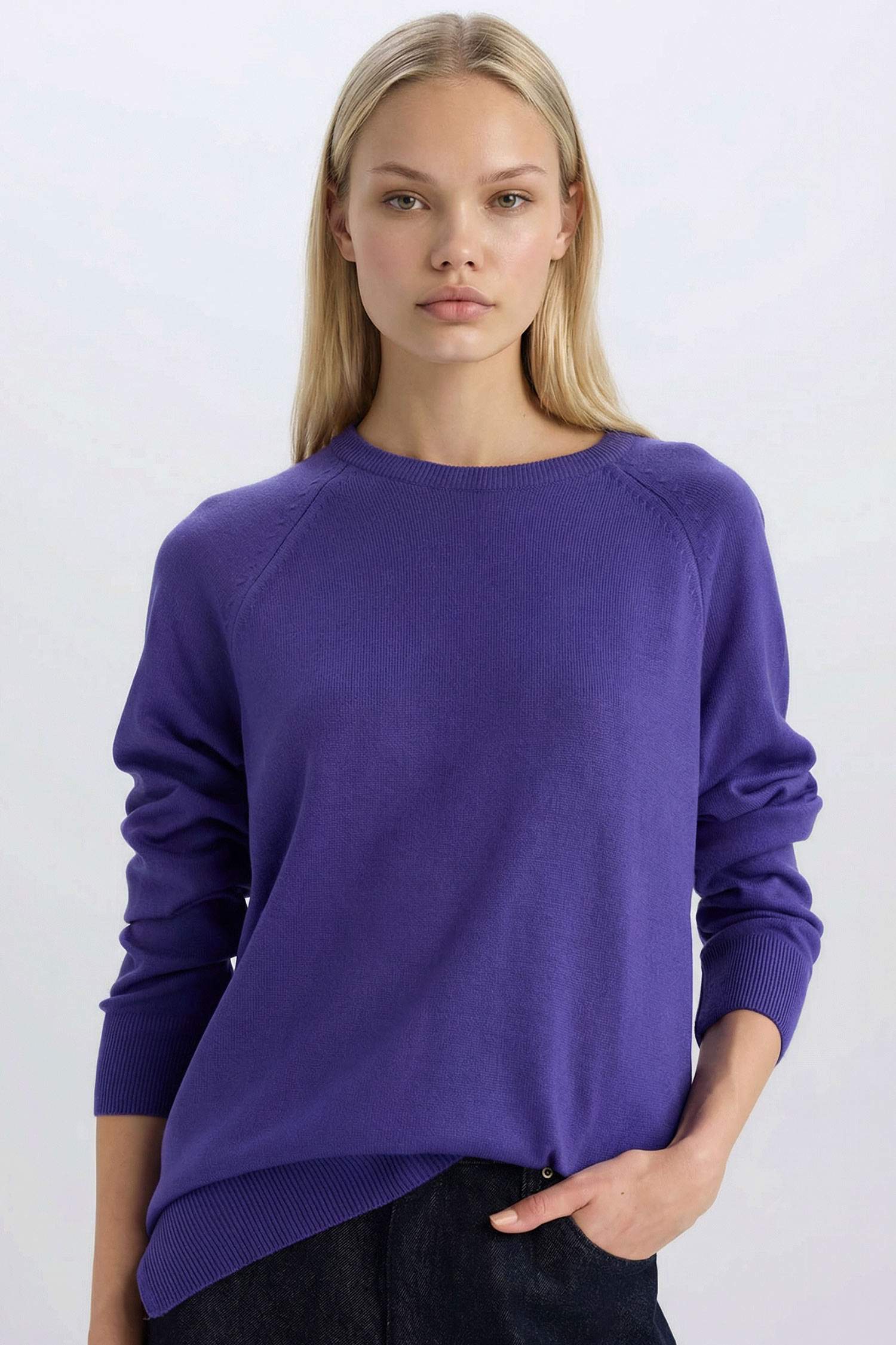 	Regular Fit Yumuşak Dokulu Bisiklet Yaka Basic Düz Triko Kazak