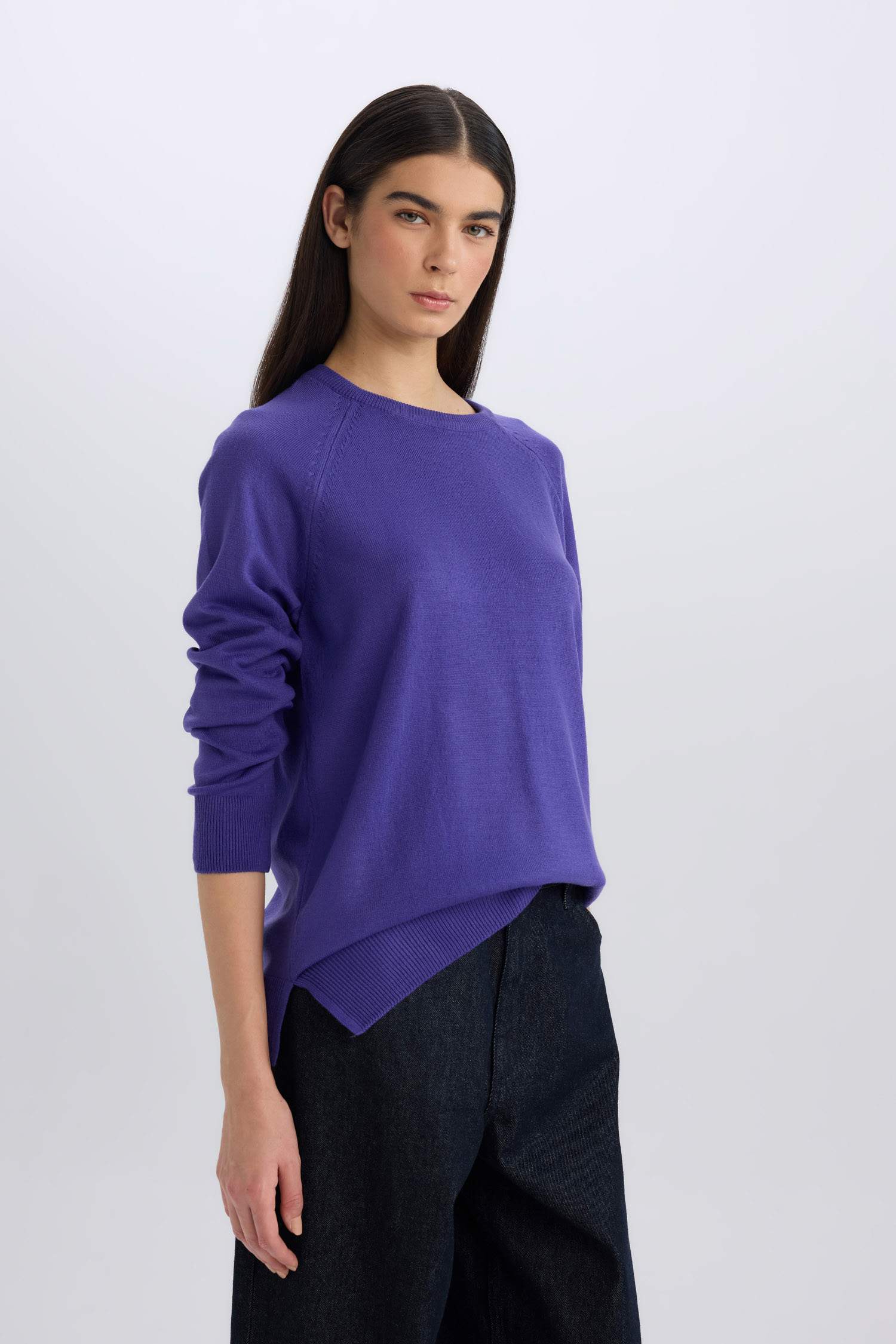 	Regular Fit Yumuşak Dokulu Bisiklet Yaka Basic Düz Triko Kazak