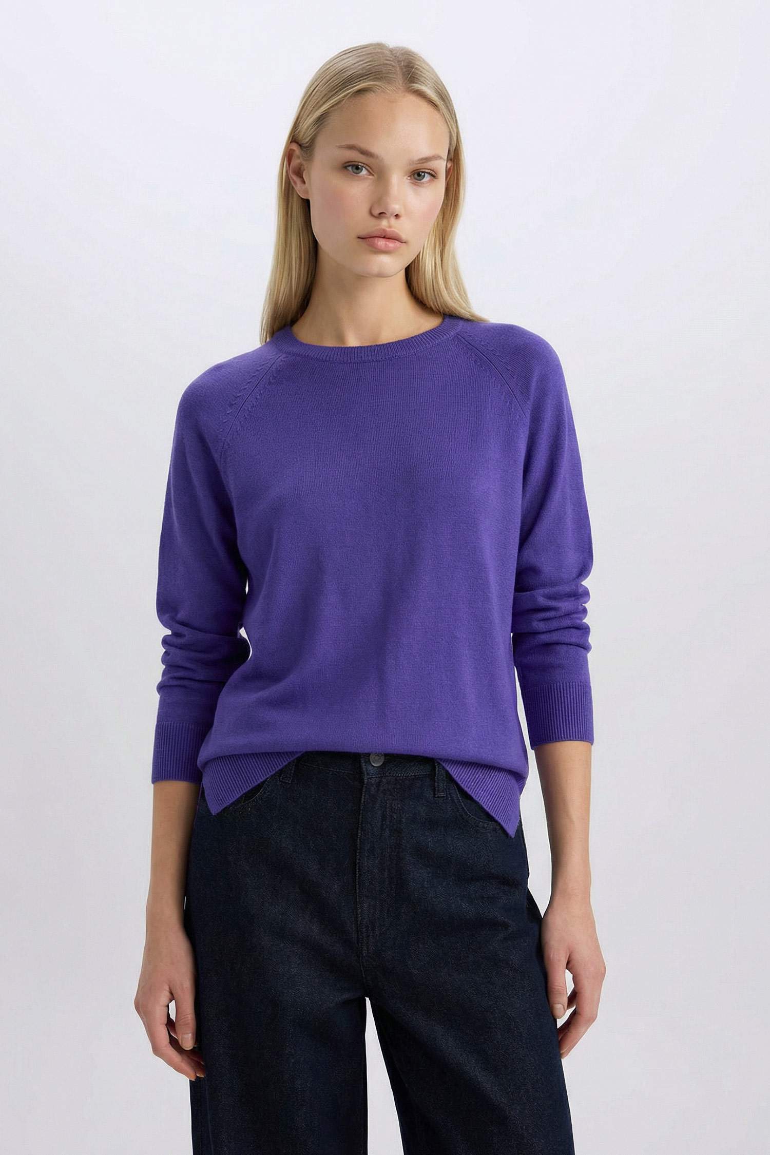 	Regular Fit Yumuşak Dokulu Bisiklet Yaka Basic Düz Triko Kazak