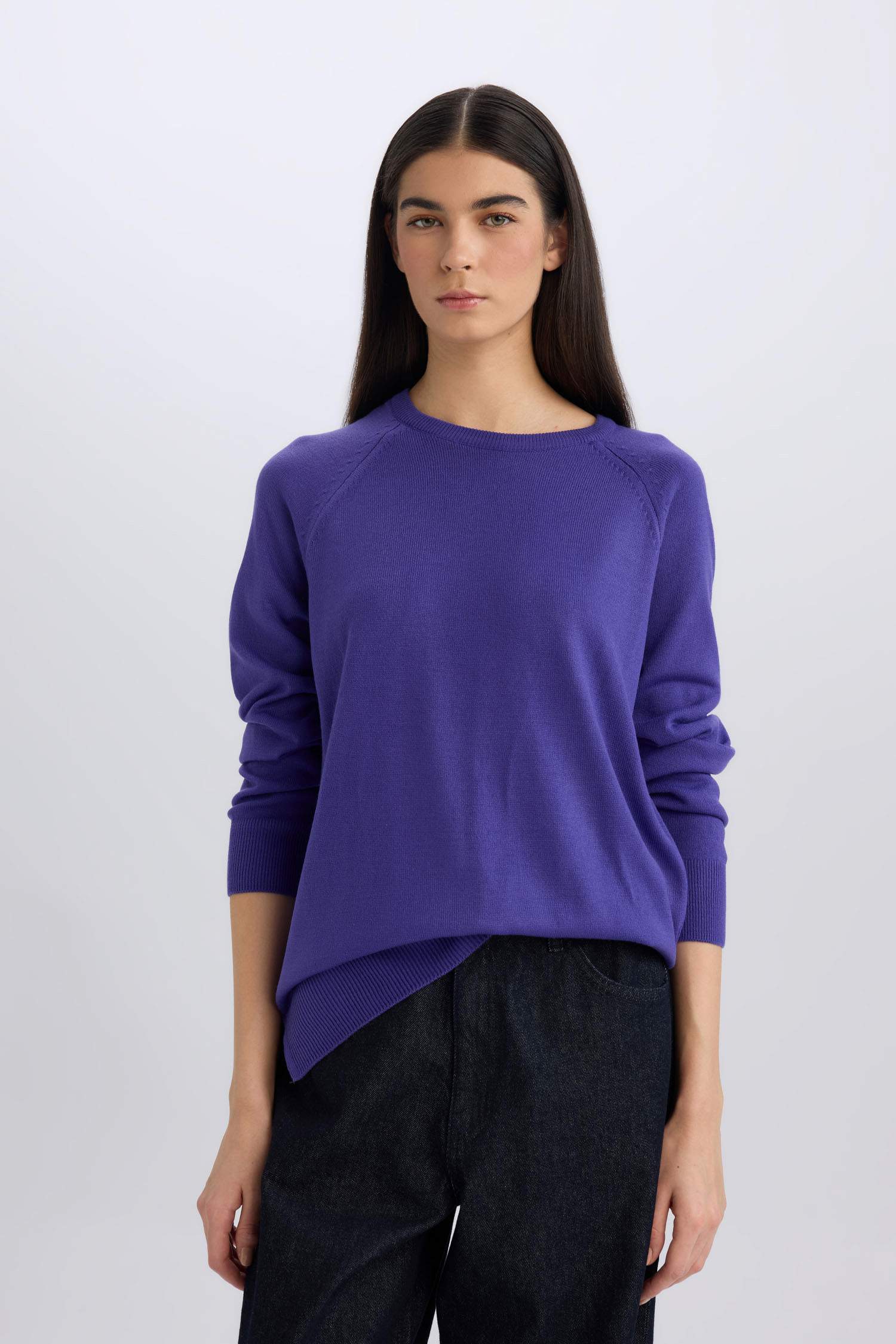 	Regular Fit Yumuşak Dokulu Bisiklet Yaka Basic Düz Triko Kazak