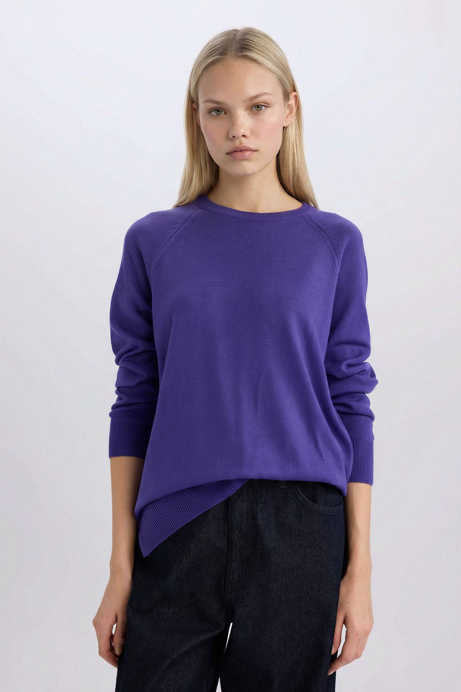 	Regular Fit Yumuşak Dokulu Bisiklet Yaka Basic Düz Triko Kazak