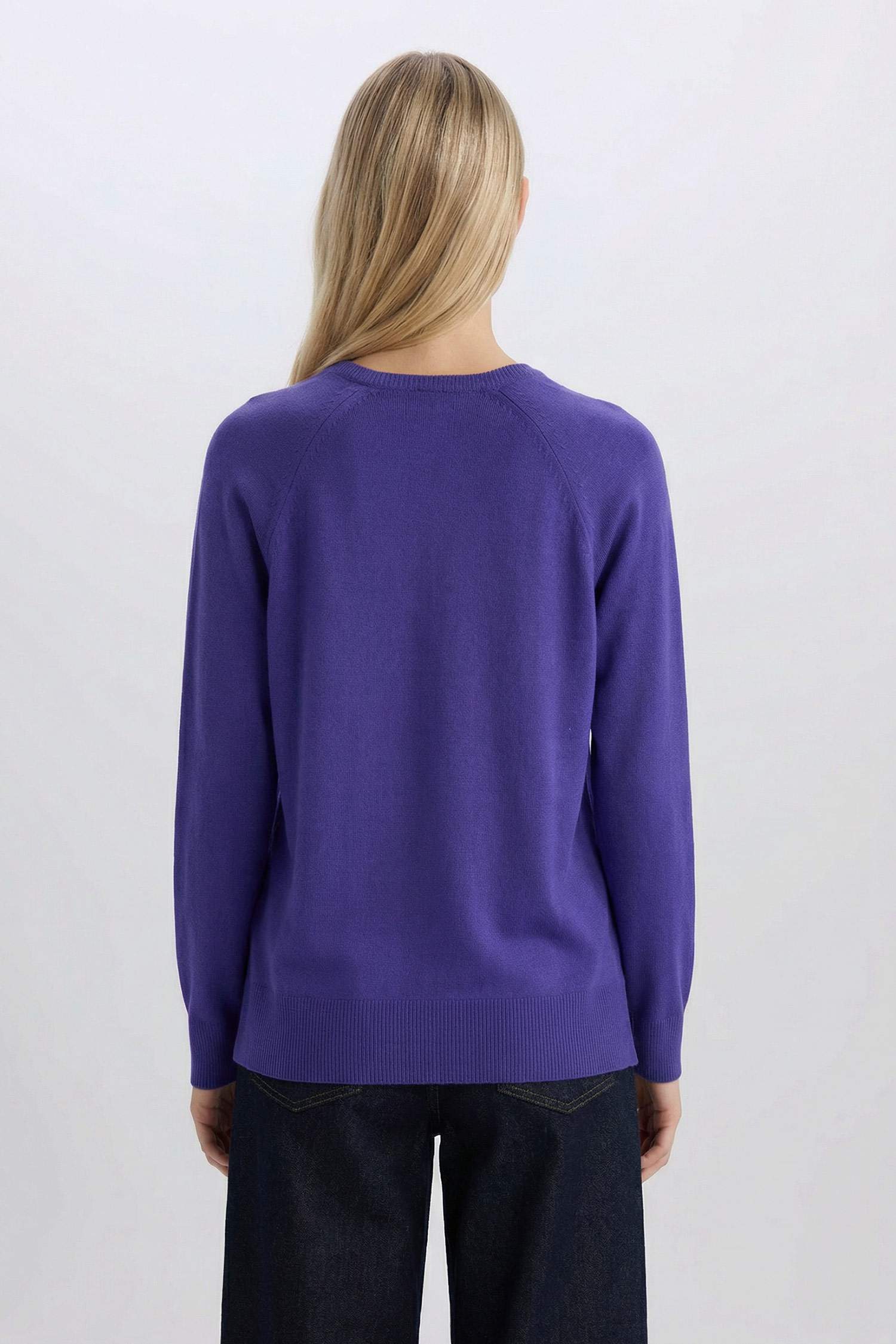 	Regular Fit Yumuşak Dokulu Bisiklet Yaka Basic Düz Triko Kazak