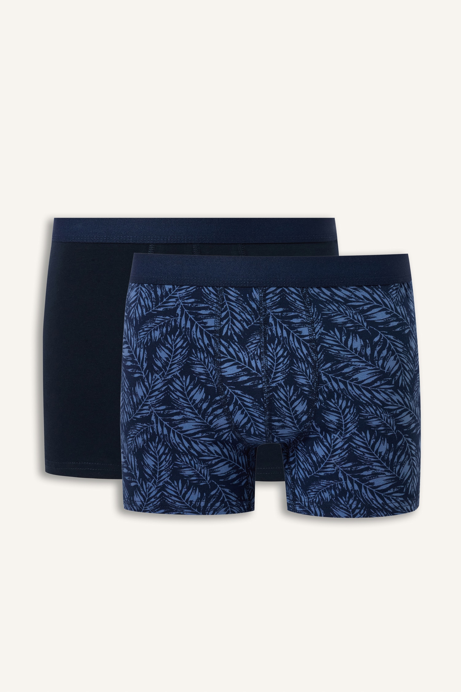DeFacto Regular Fit Desenli 2'li Boxer