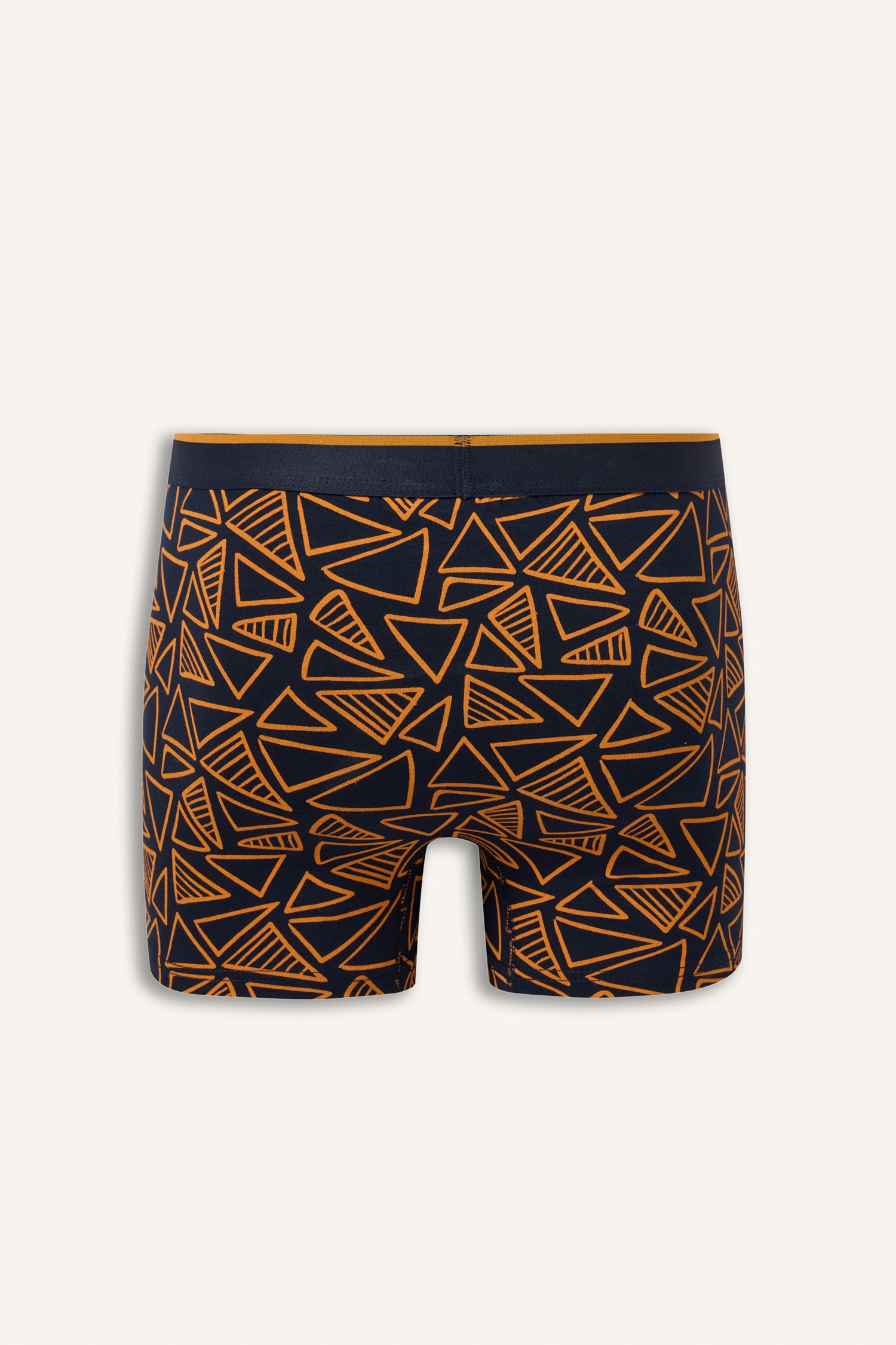 DeFacto Geometrik Desenli Regular Fit 2'li Boxer görsel 3
