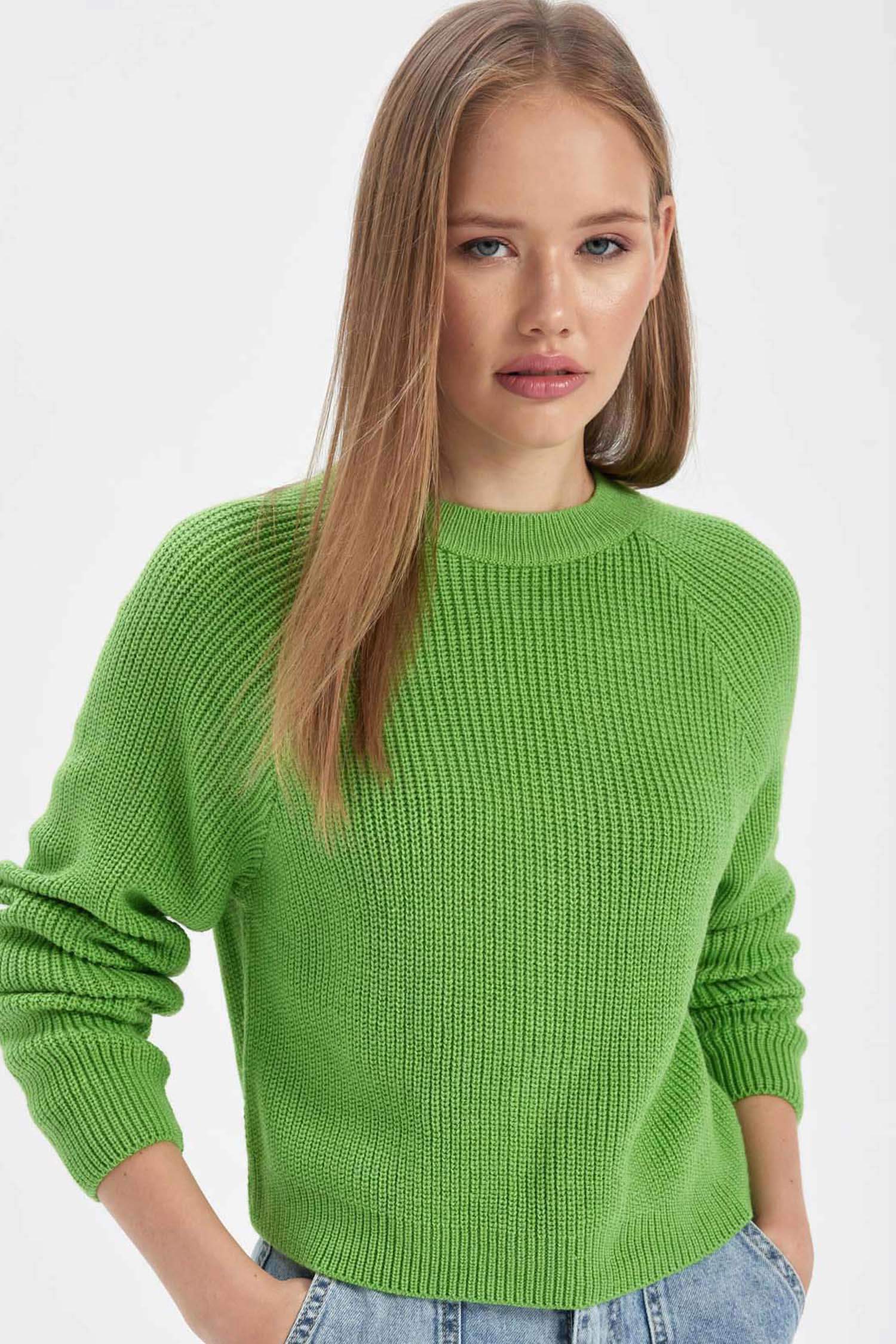 Regular Fit Crew Neck Knitwear Pullover