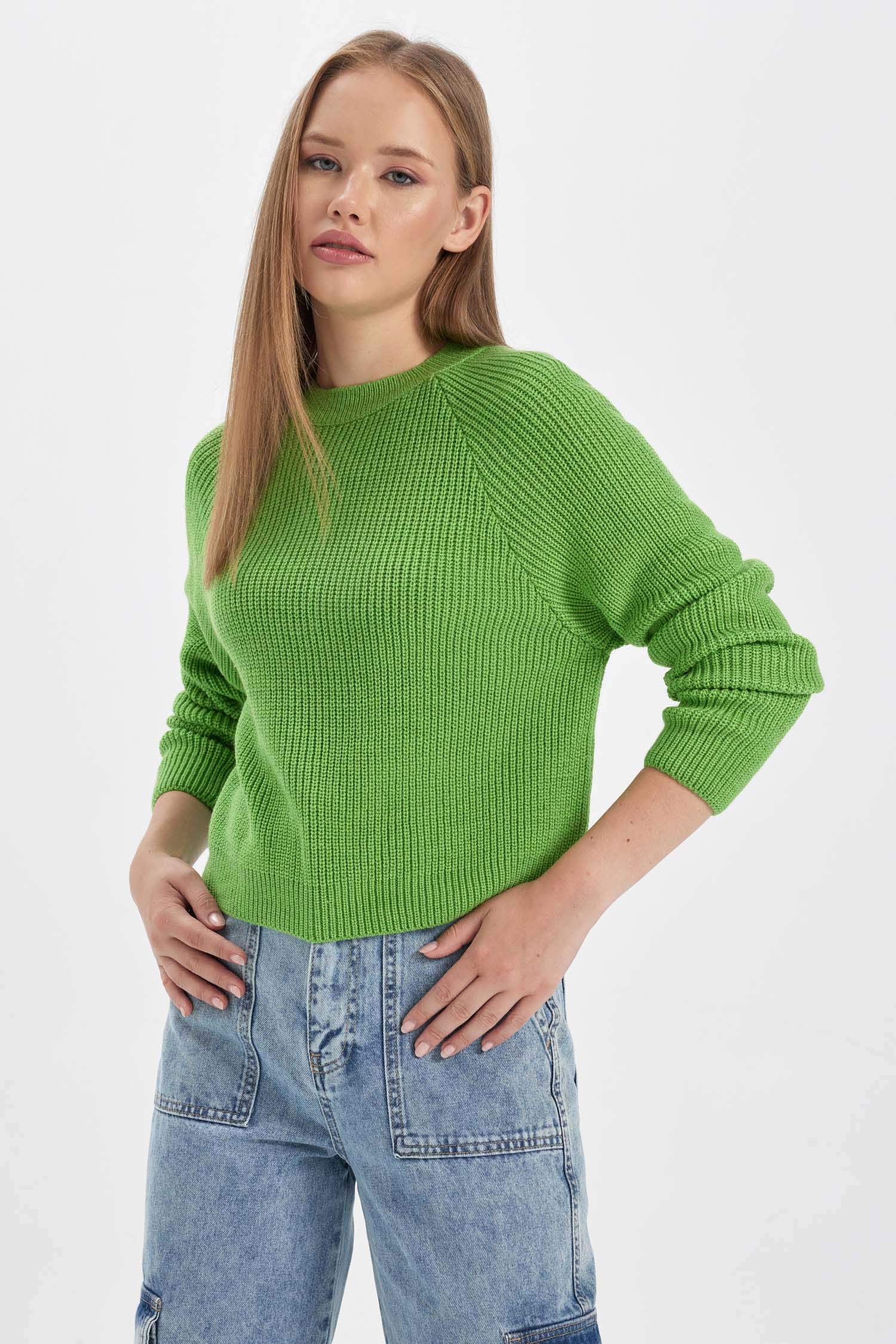 Regular Fit Crew Neck Knitwear Pullover