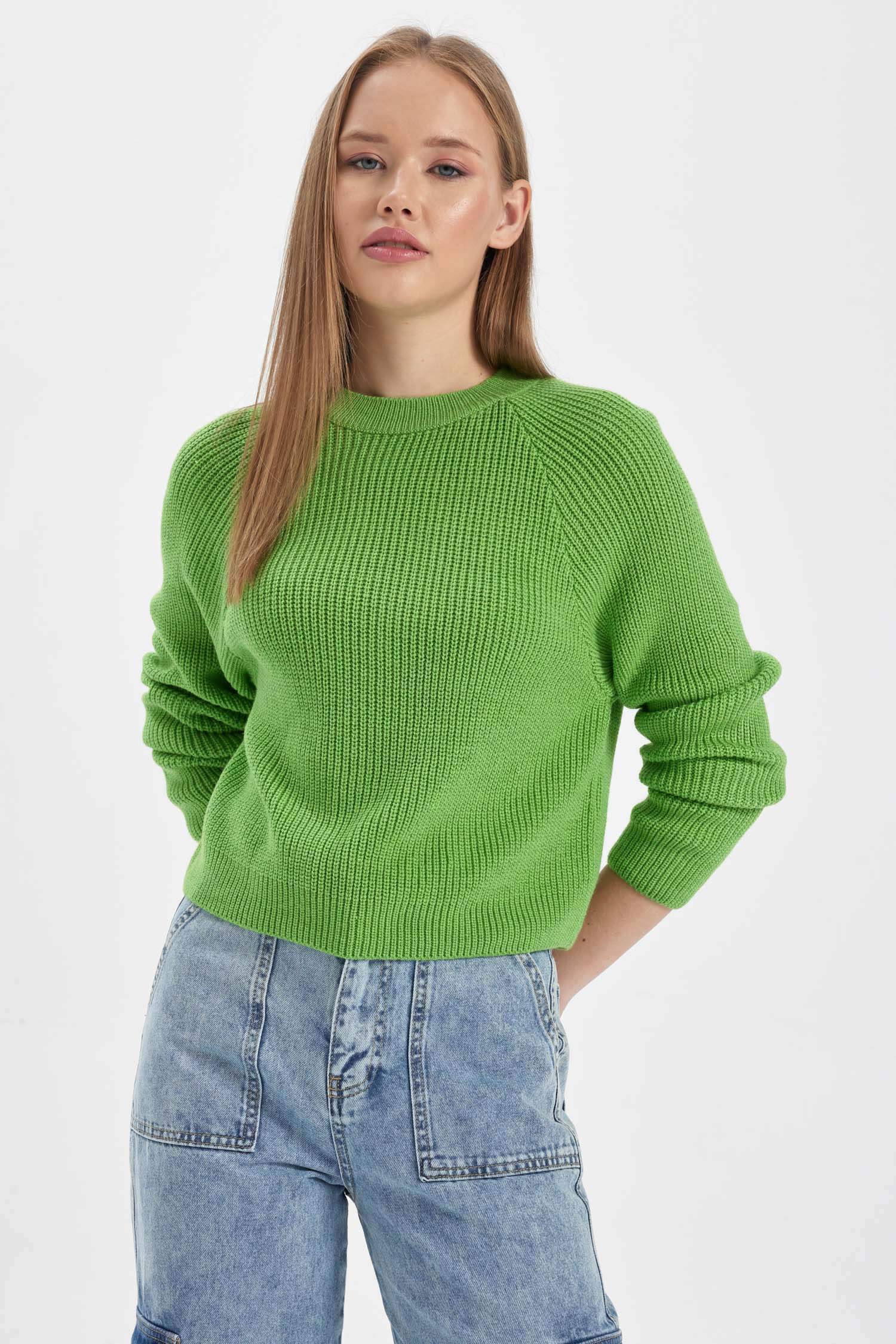 Regular Fit Crew Neck Knitwear Pullover