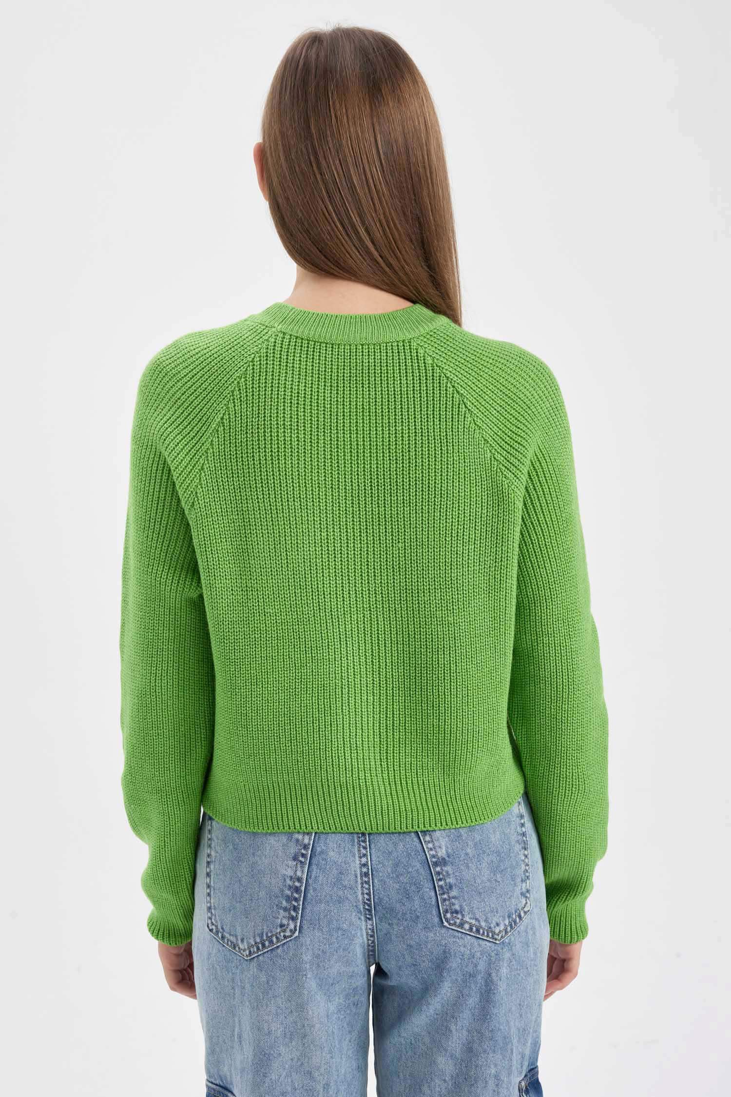 Regular Fit Crew Neck Knitwear Pullover