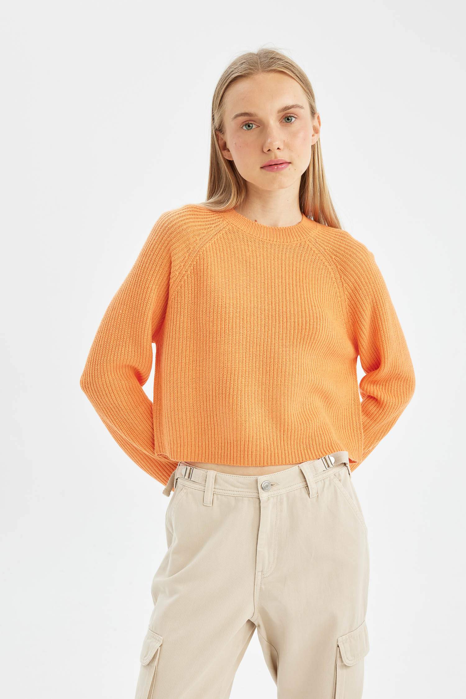 Regular Fit Crew Neck Knitted Pullover