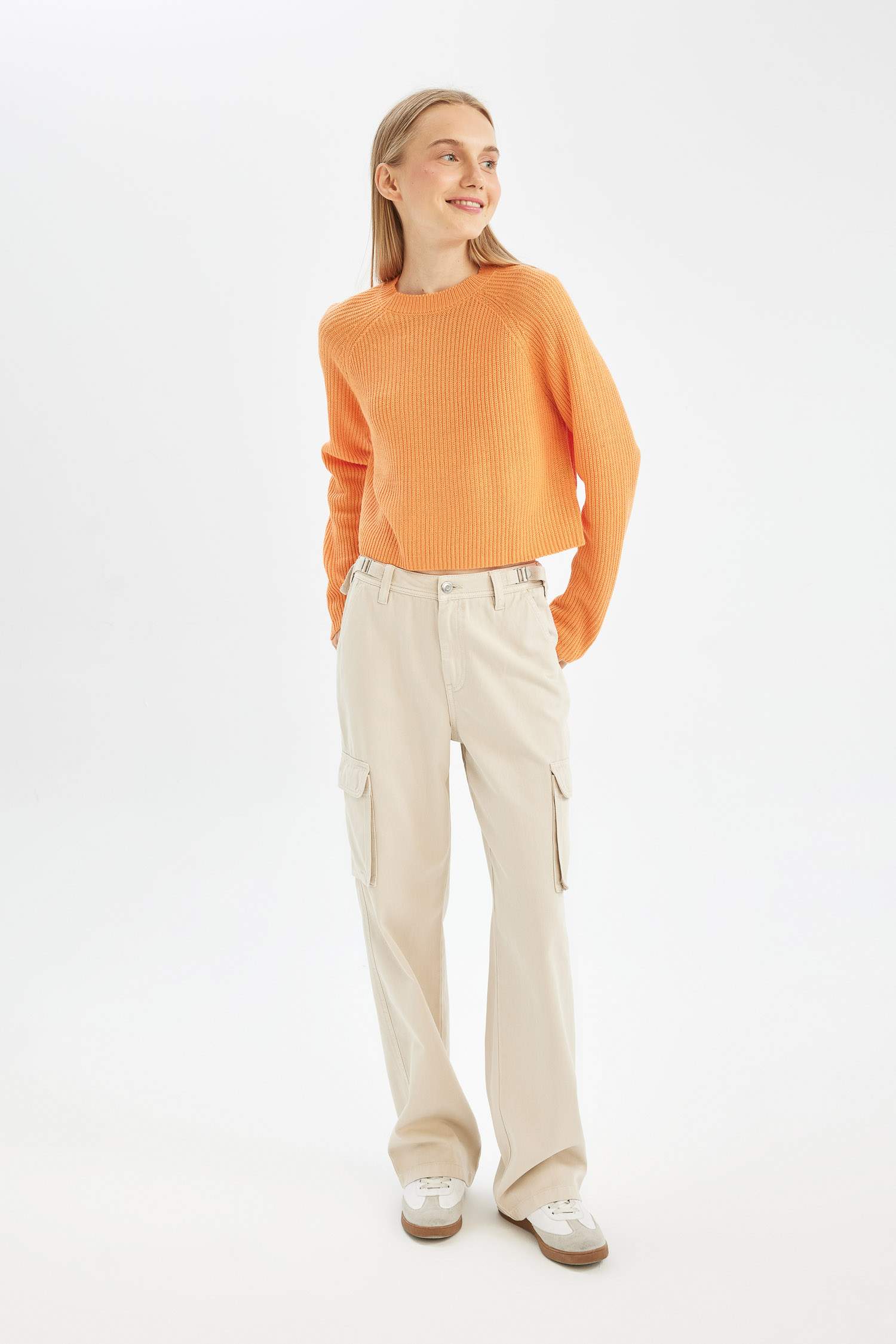 Regular Fit Crew Neck Knitted Pullover