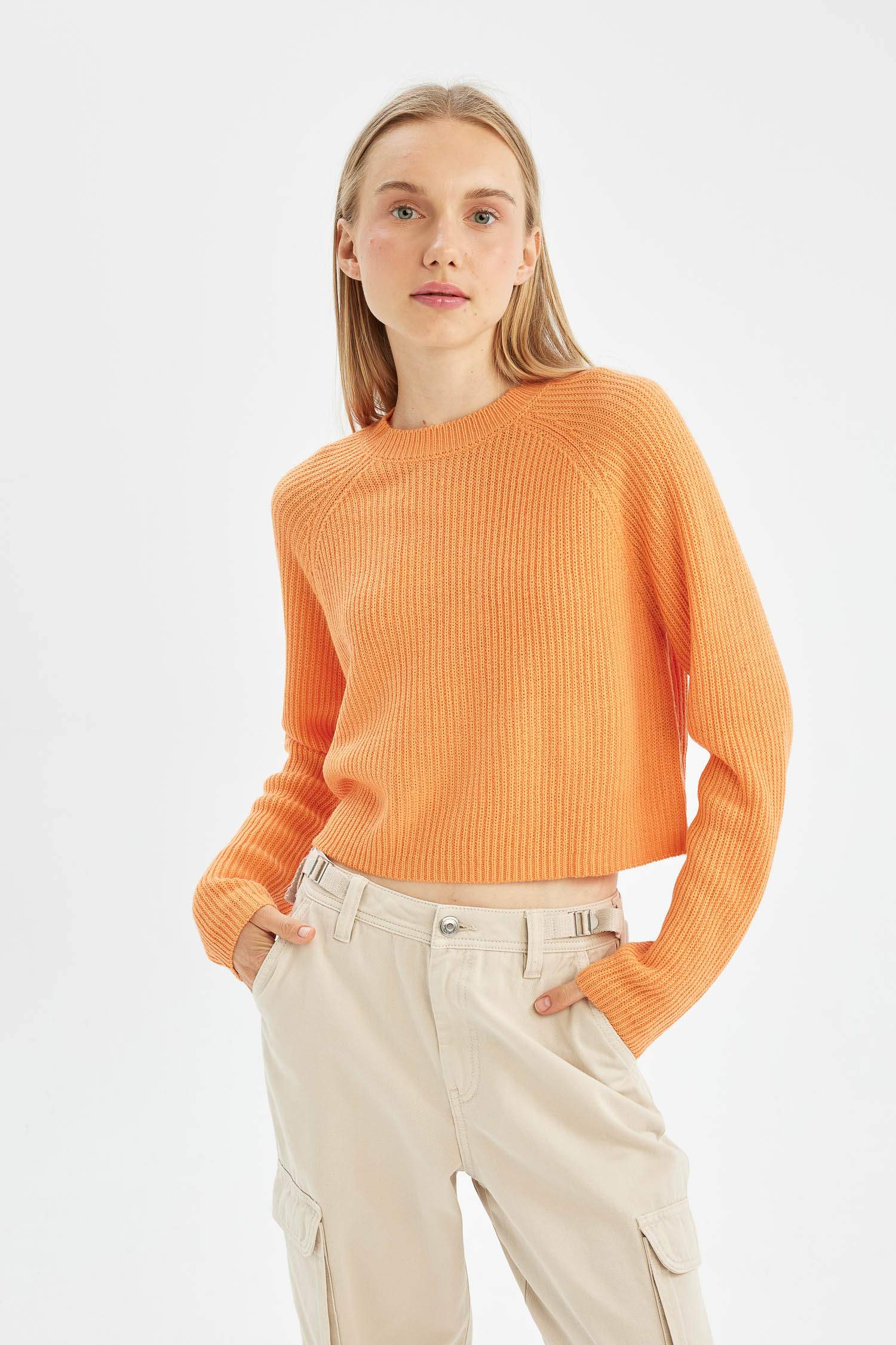 Regular Fit Crew Neck Knitted Pullover