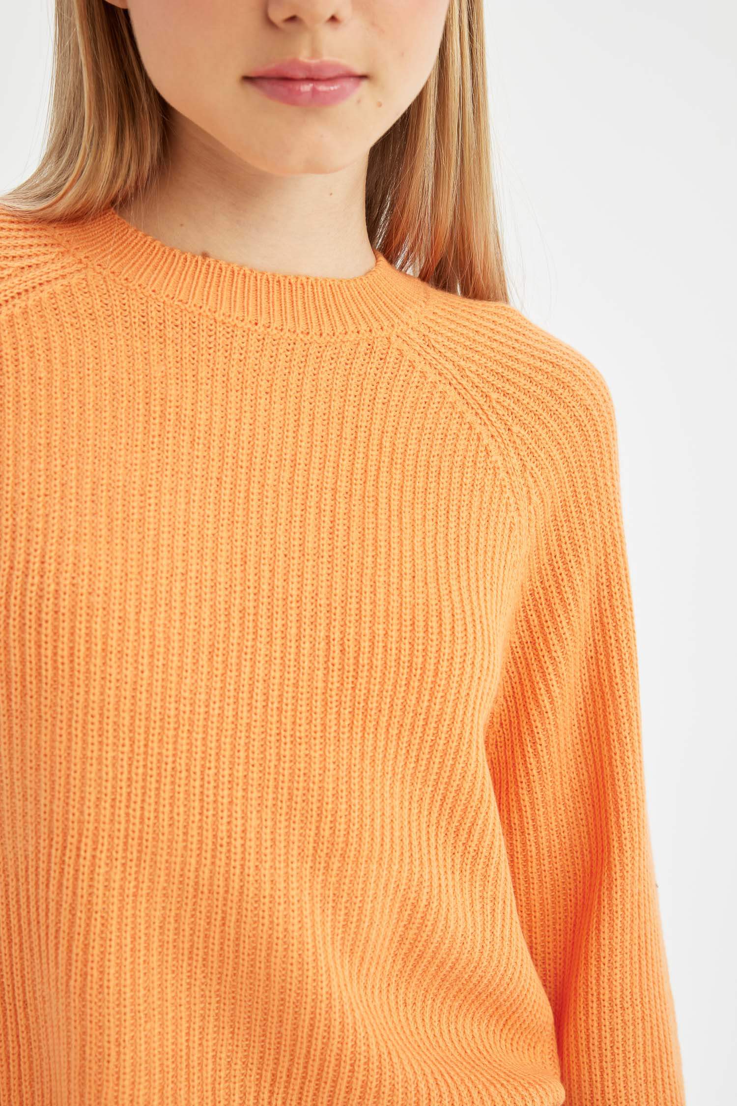 Regular Fit Crew Neck Knitted Pullover