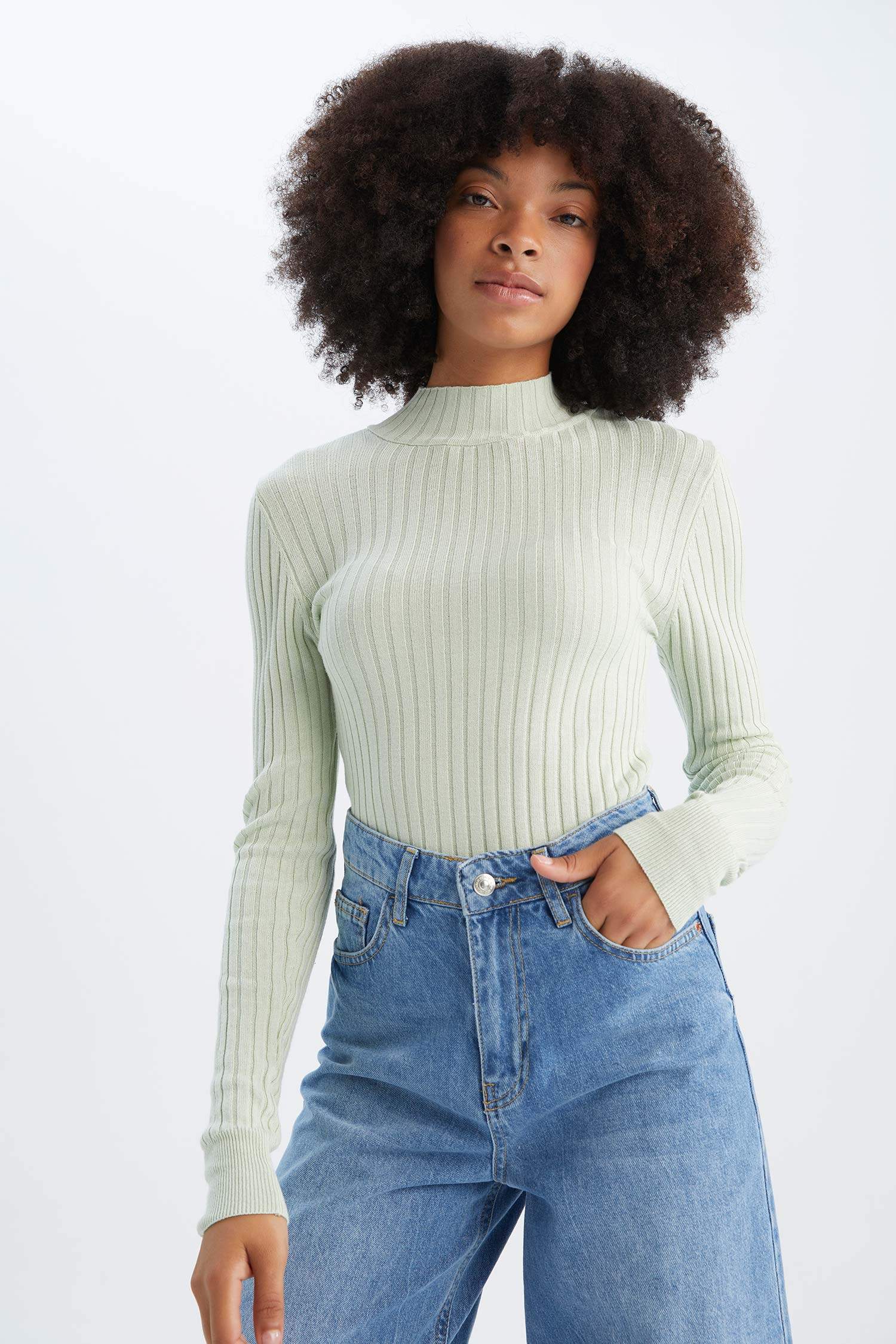 Slim Fit Yarım Balıkçı Yaka Basic Fitilli Kazak