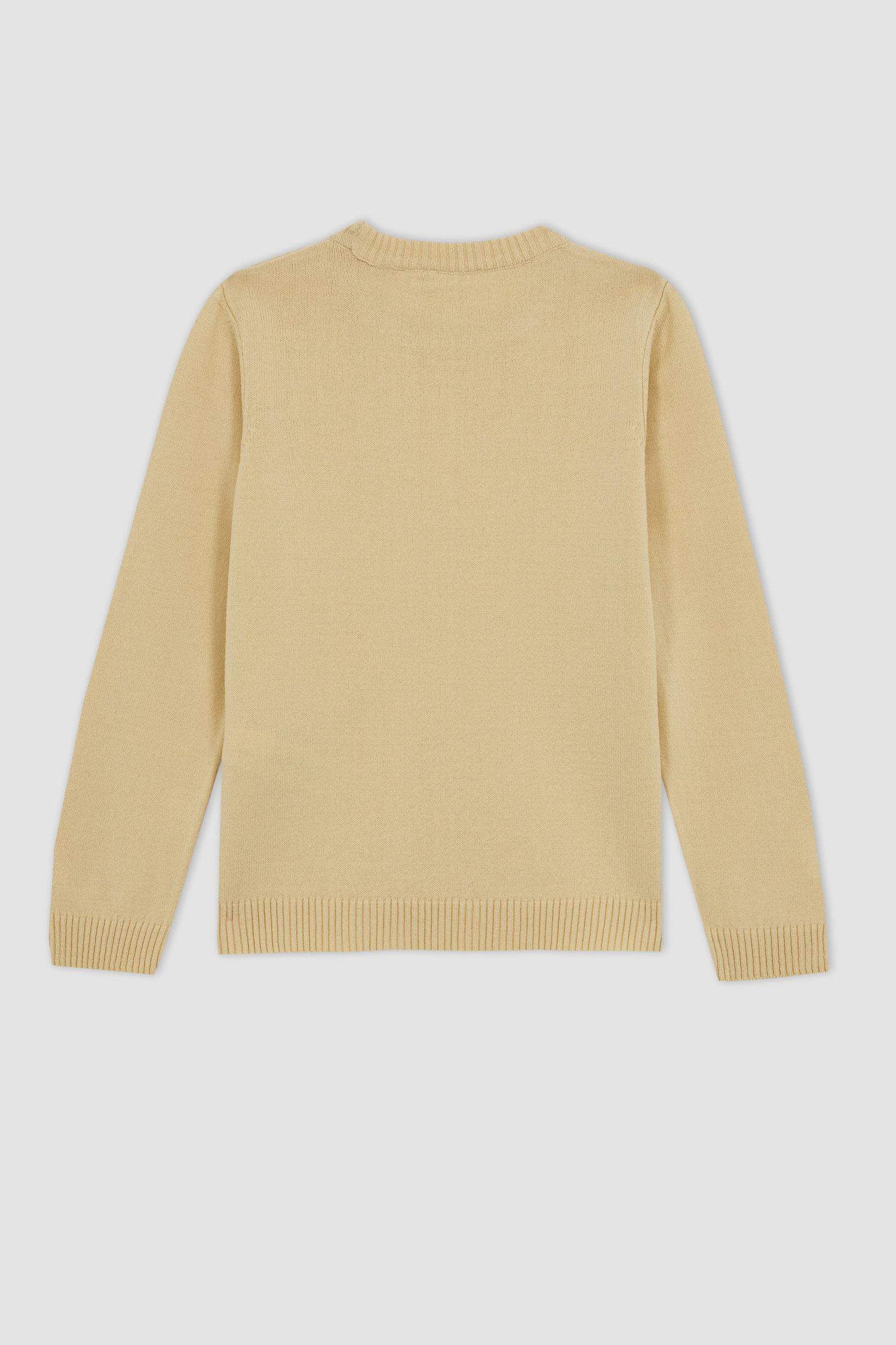 Girl Regular Fit Crew Neck Pullover