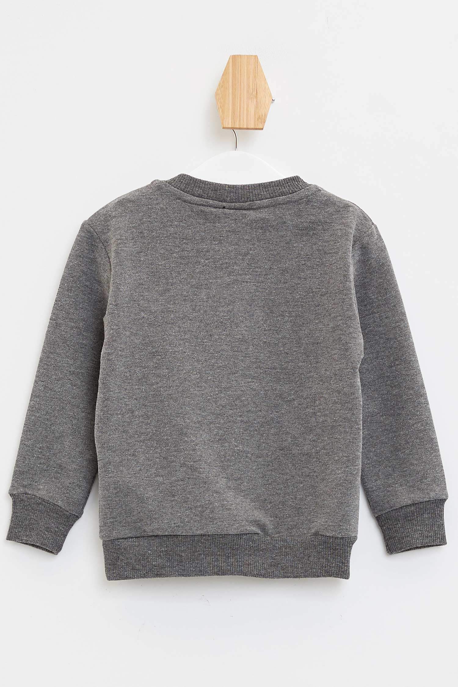 Defacto Erkek Bebek Yazı Baskılı Sweatshirt. 2