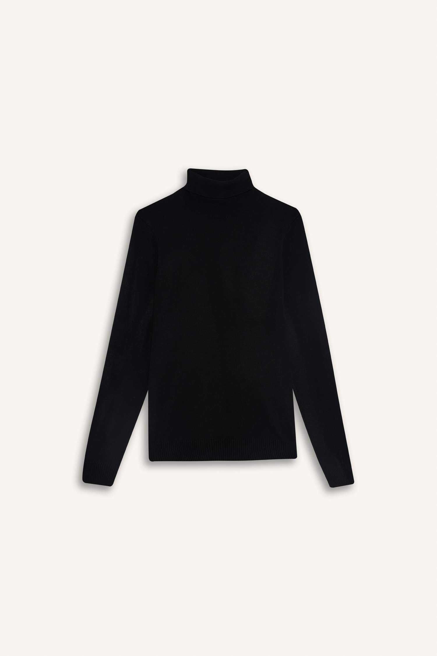 Slim Fit Turtleneck Basic Knit Pullover
