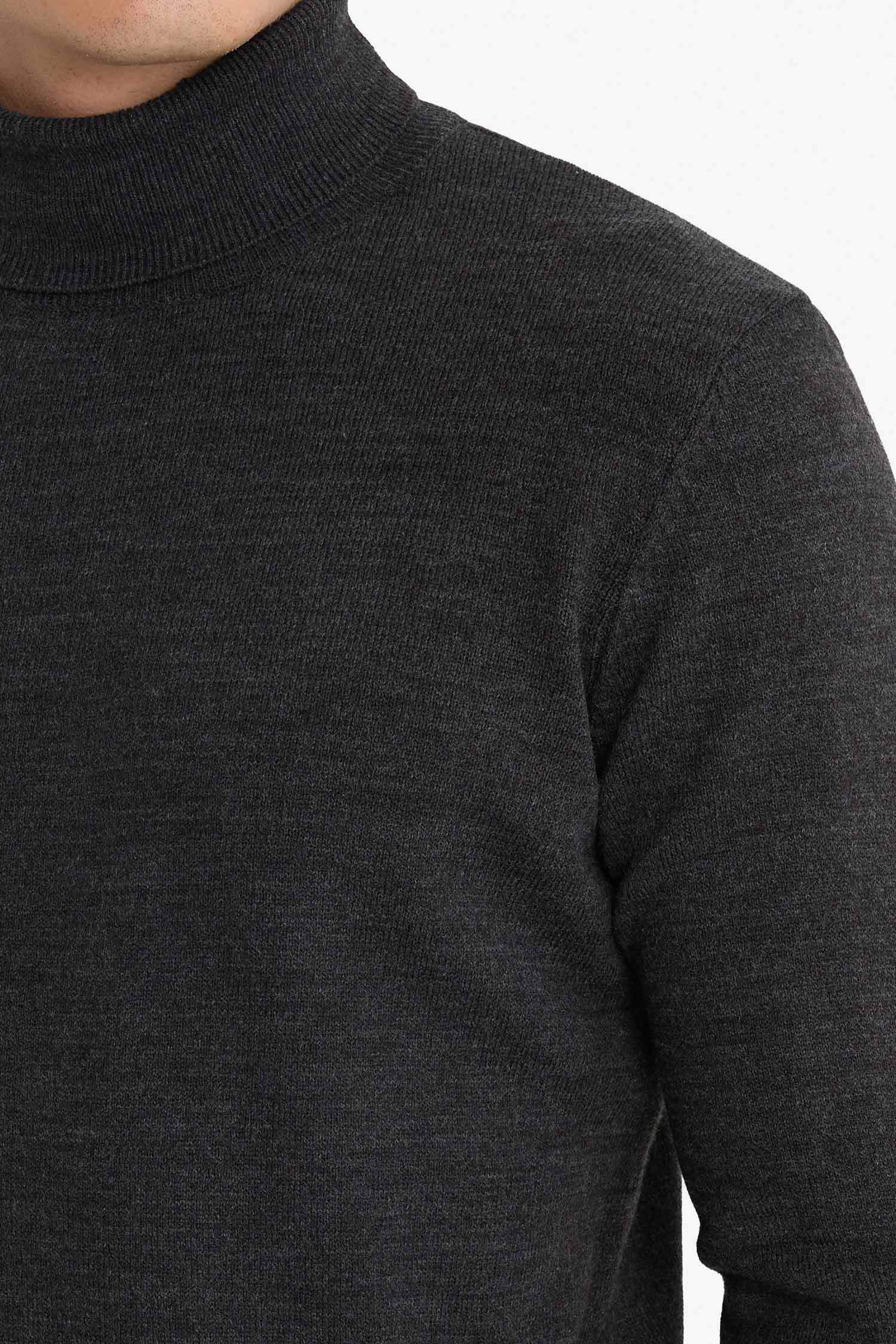 Pull tricot basique à col roulé Coupe slim