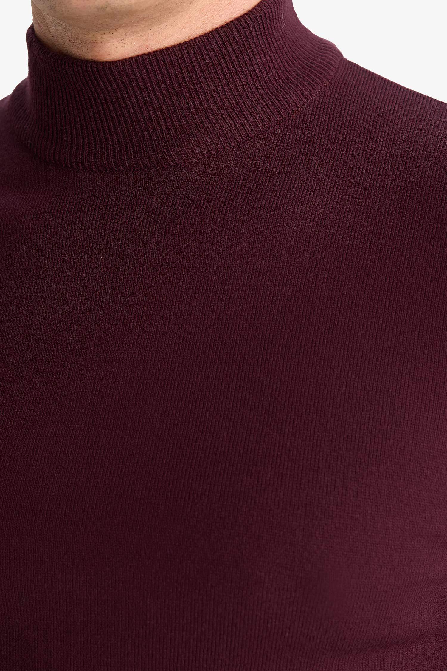 Slim Fit Turtleneck Basic Knit Pullover