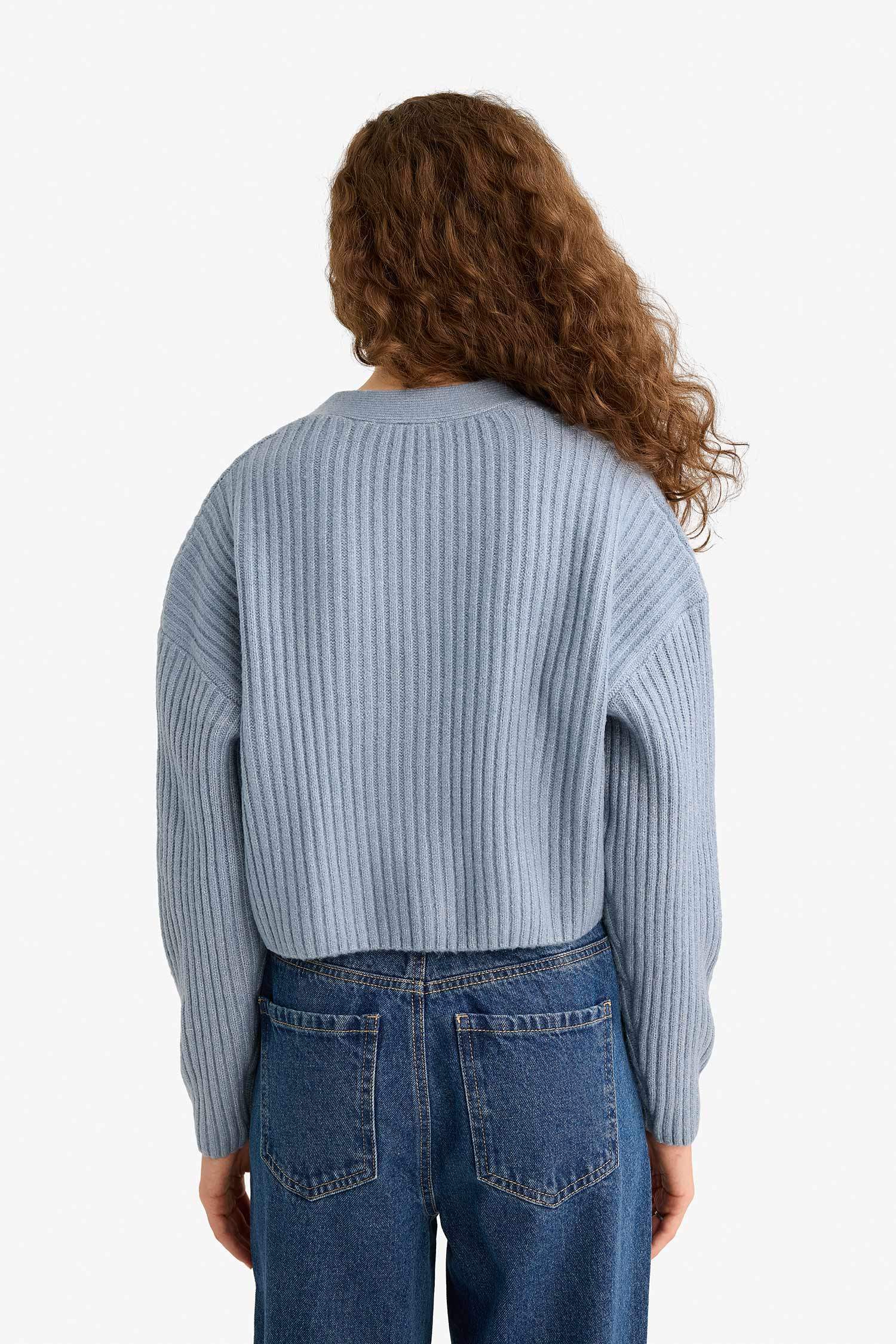 Regular Fit V-Neck Cardigan