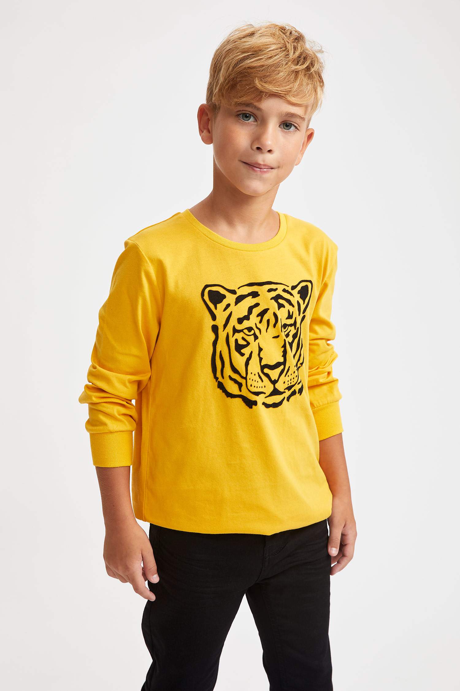 Yellow BOYS & TEENS Boy Boy'S Tiger Printed Long Sleeve T-Shirt 1466768 ...