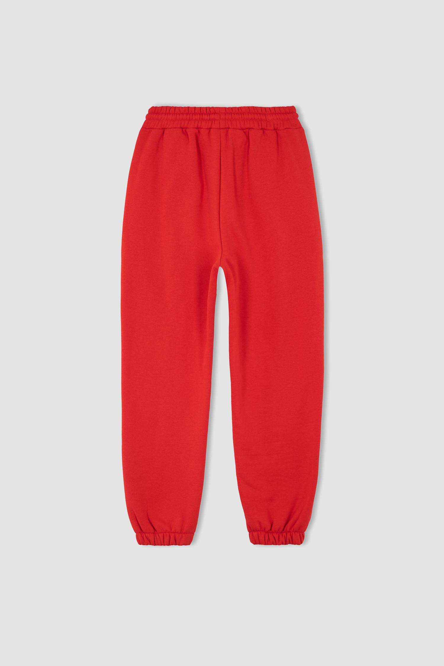 Jogger Standard Fit Thick Sweatshirt Fabric Elastic Band Trousers