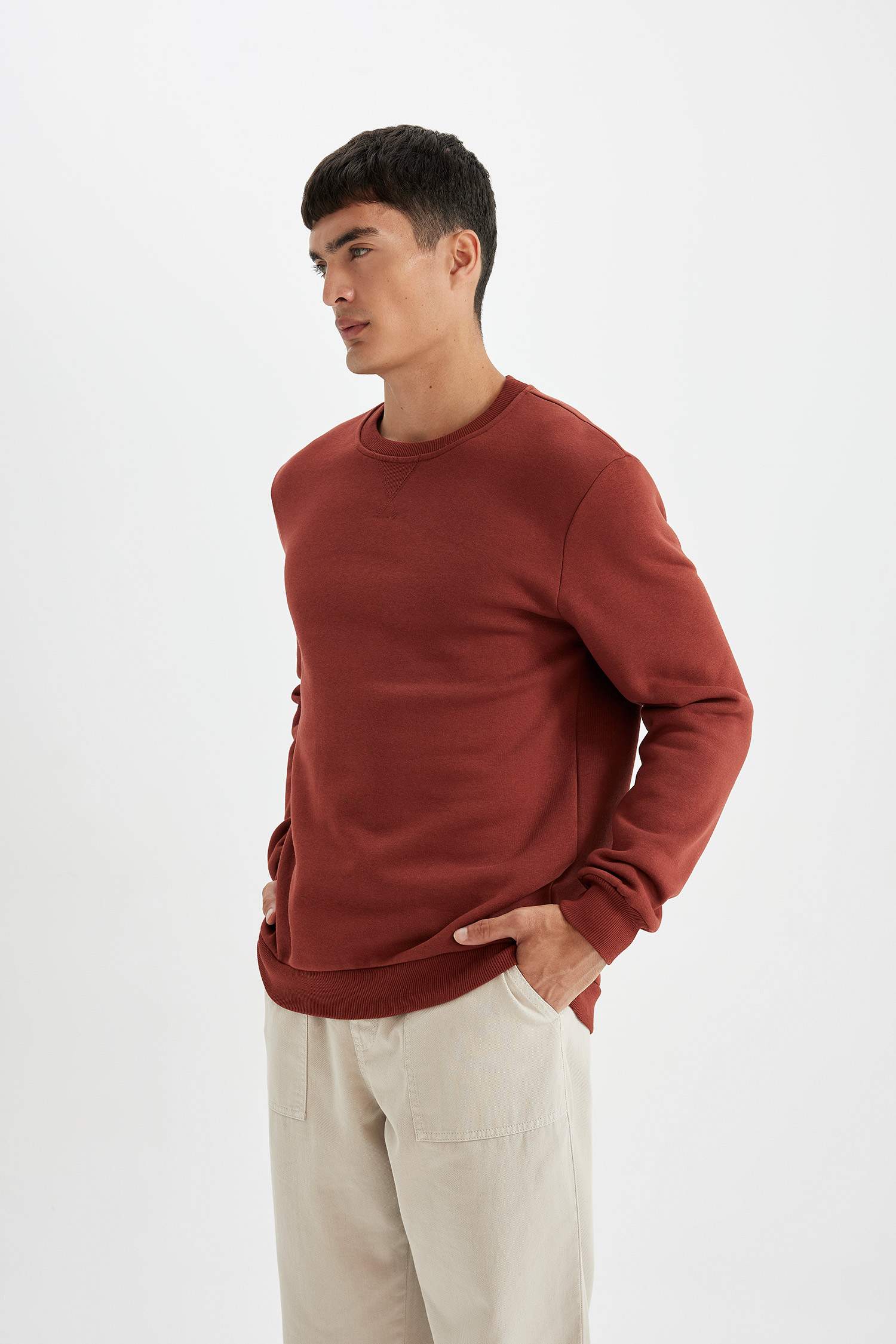Regular Fit Bisiklet Yaka Kalın Basic Düz Sweatshirt