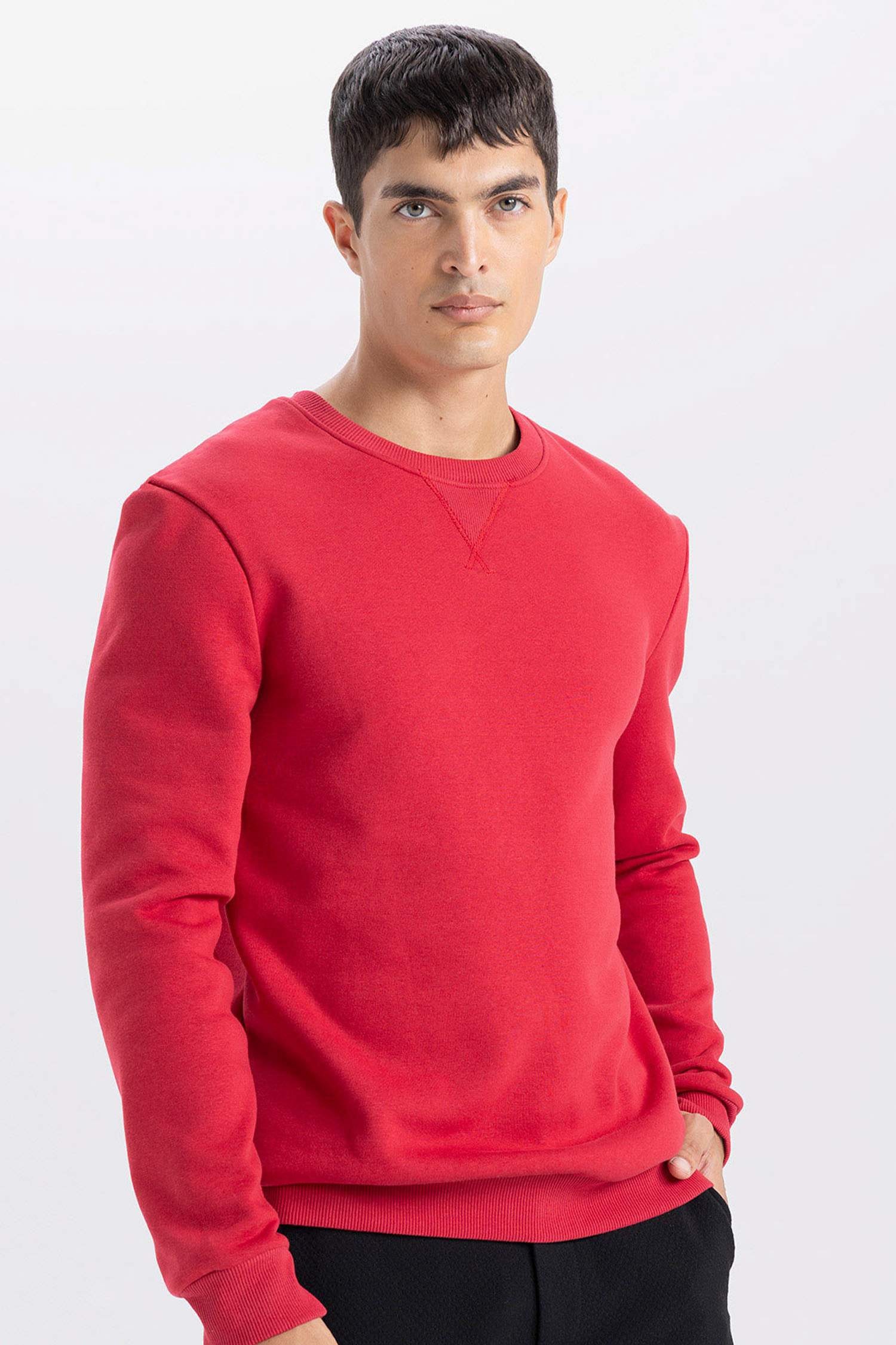 Regular Fit Crew Neck Thick Basic Sweatshirt