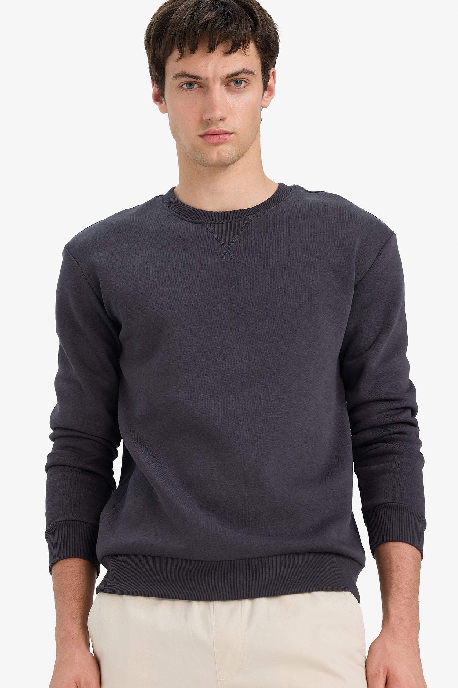Regular Fit Crew Neck Basic Thick Sweatshirt